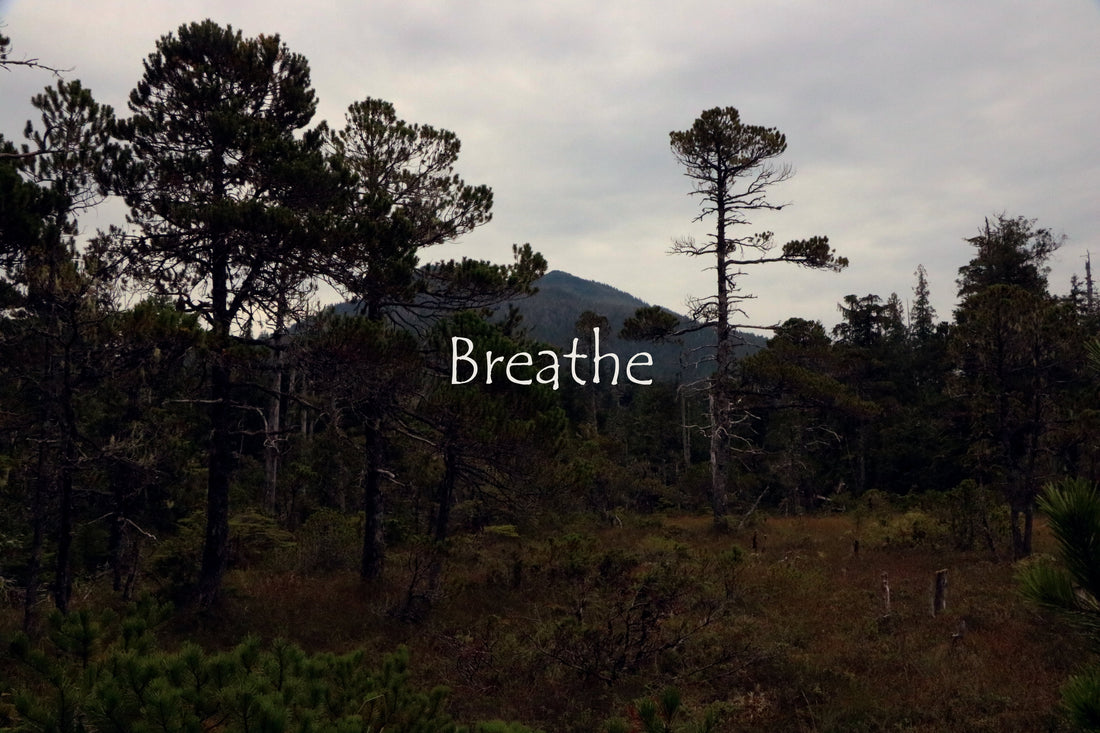 Persistence is Resistance