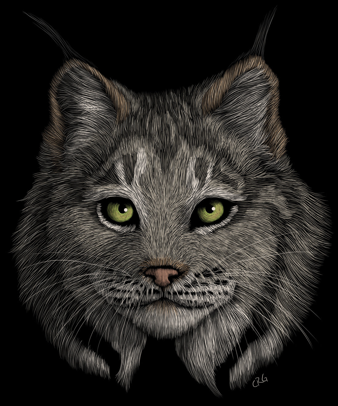 I've Fled the US, Now What?