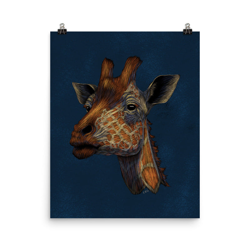 Wildlife Portrait Art Prints