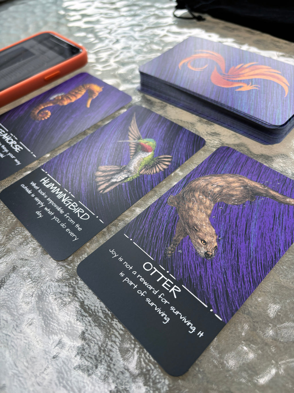 The Healing Wild: An Oracle and Affirmation Deck