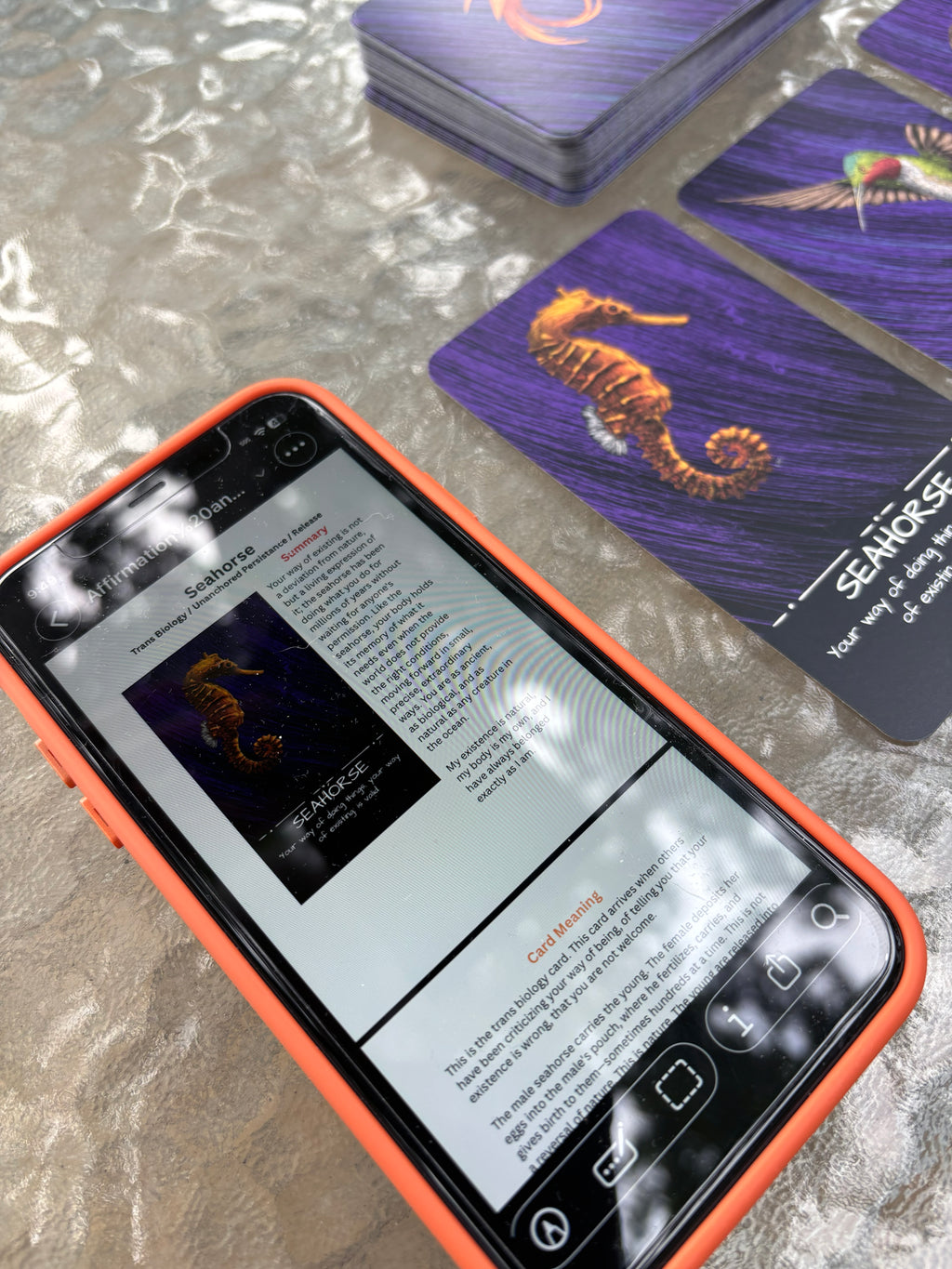The Healing Wild: An Oracle and Affirmation Deck