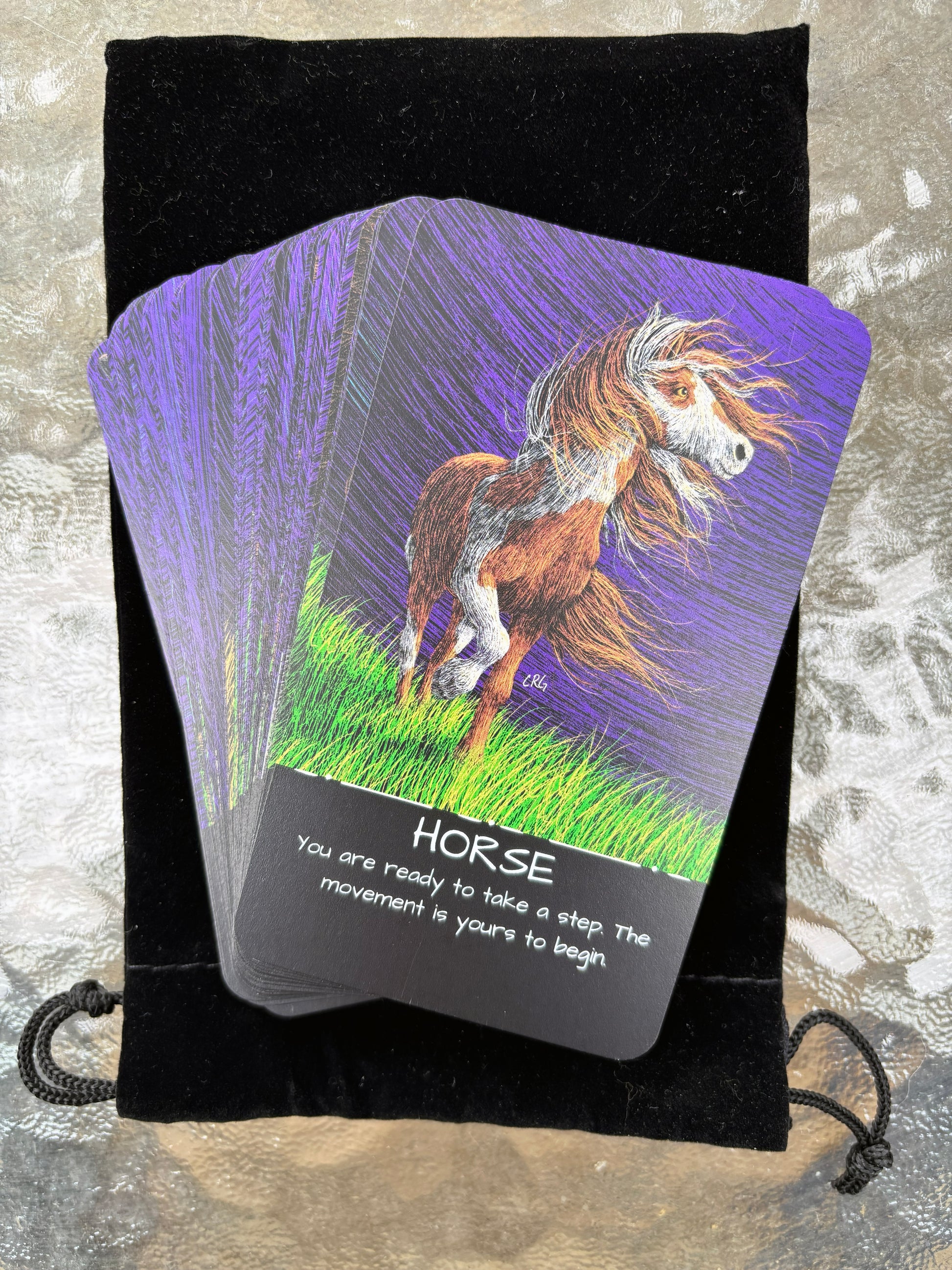 The Healing Wild: An Oracle and Affirmation Deck
