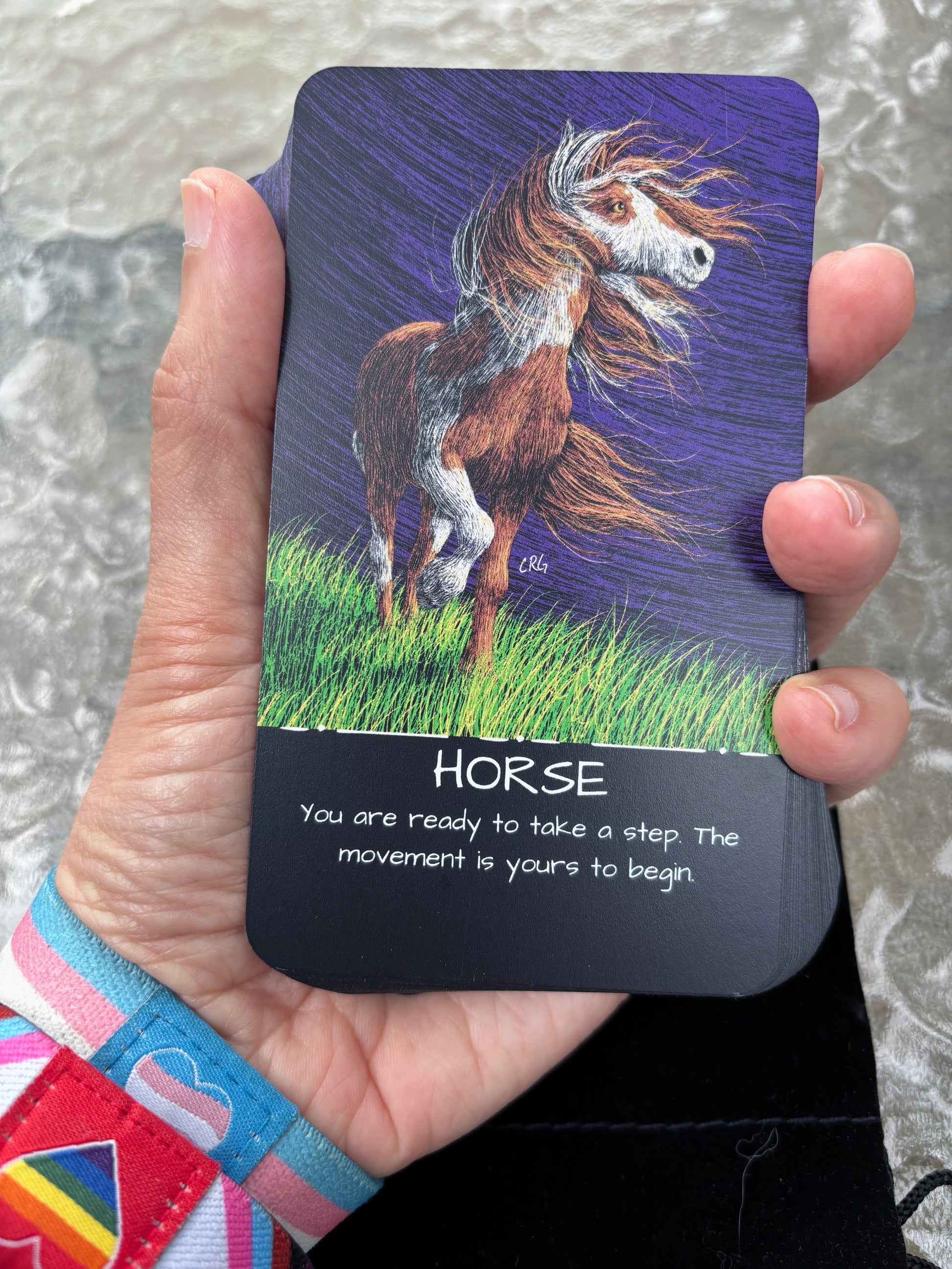 The Healing Wild: An Oracle and Affirmation Deck