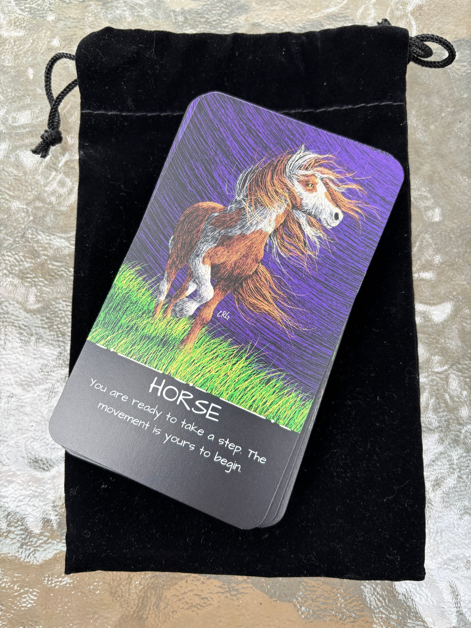 The Healing Wild: An Oracle and Affirmation Deck