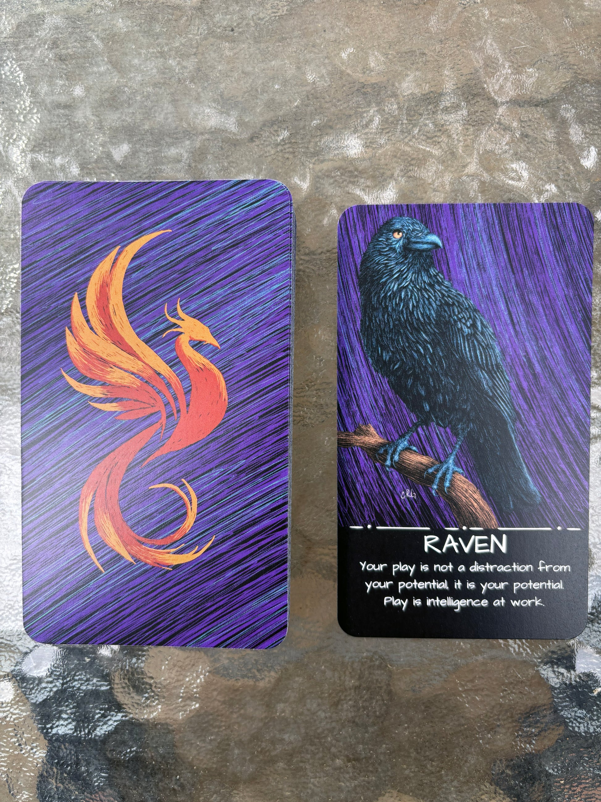 The Healing Wild: An Oracle and Affirmation Deck
