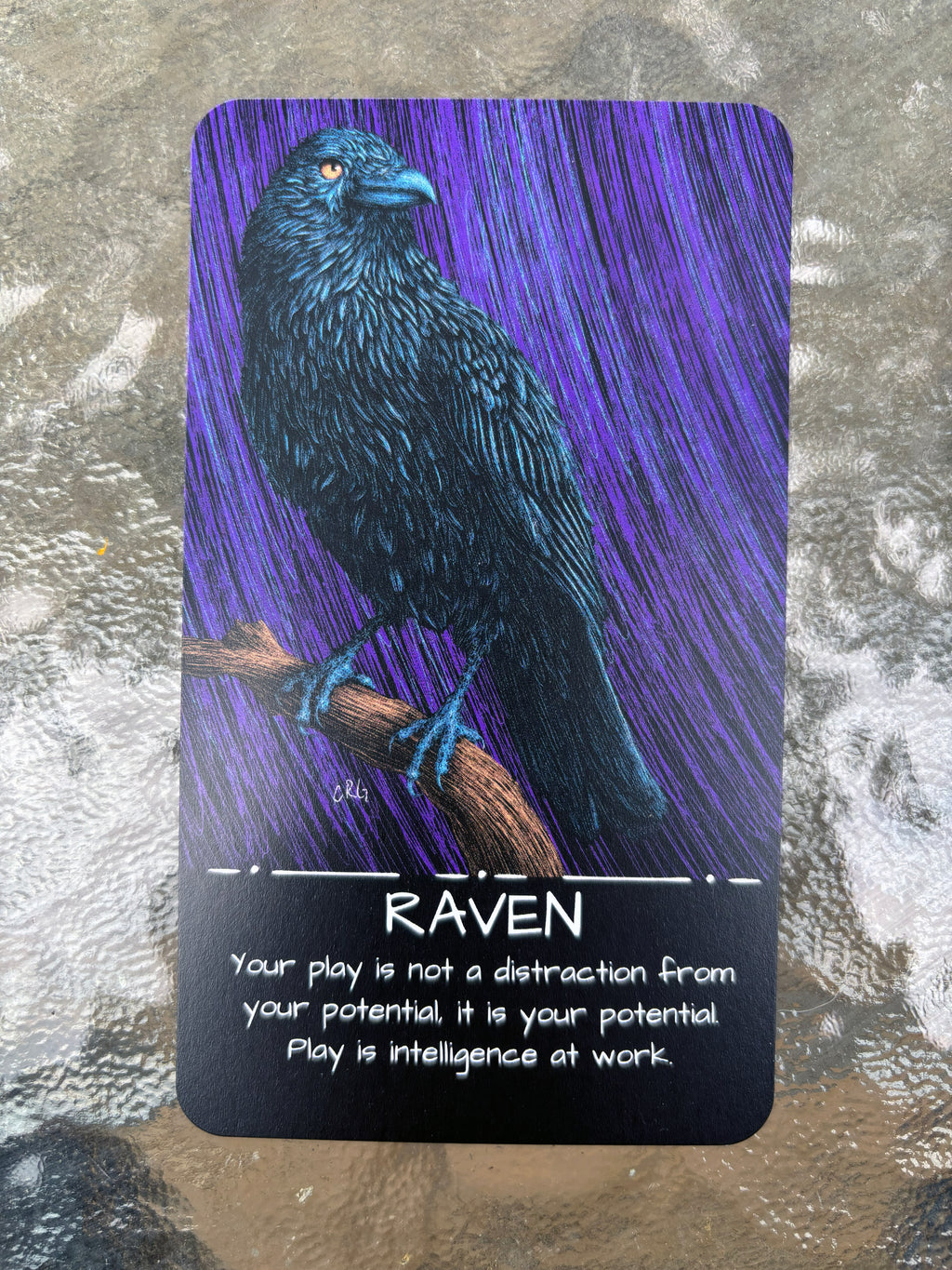 The Healing Wild: An Oracle and Affirmation Deck