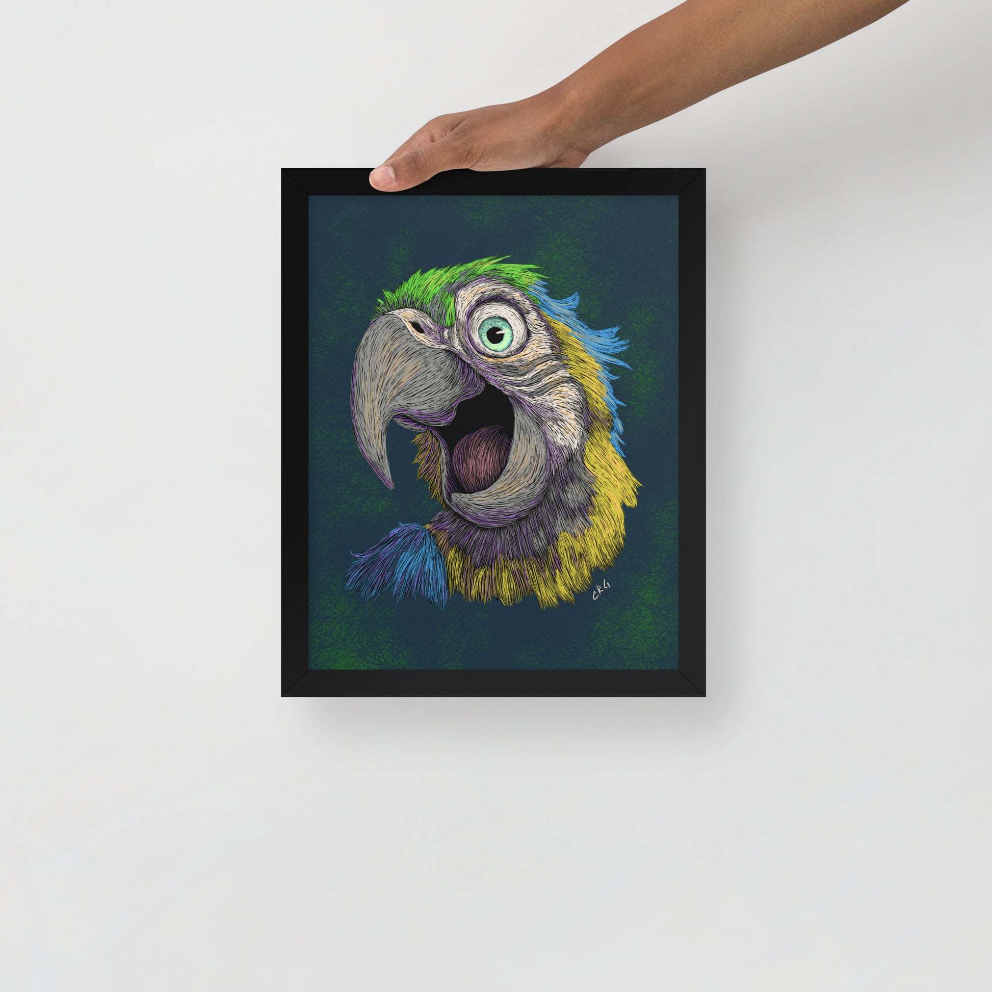 Blue and Gold Macaw Art Print