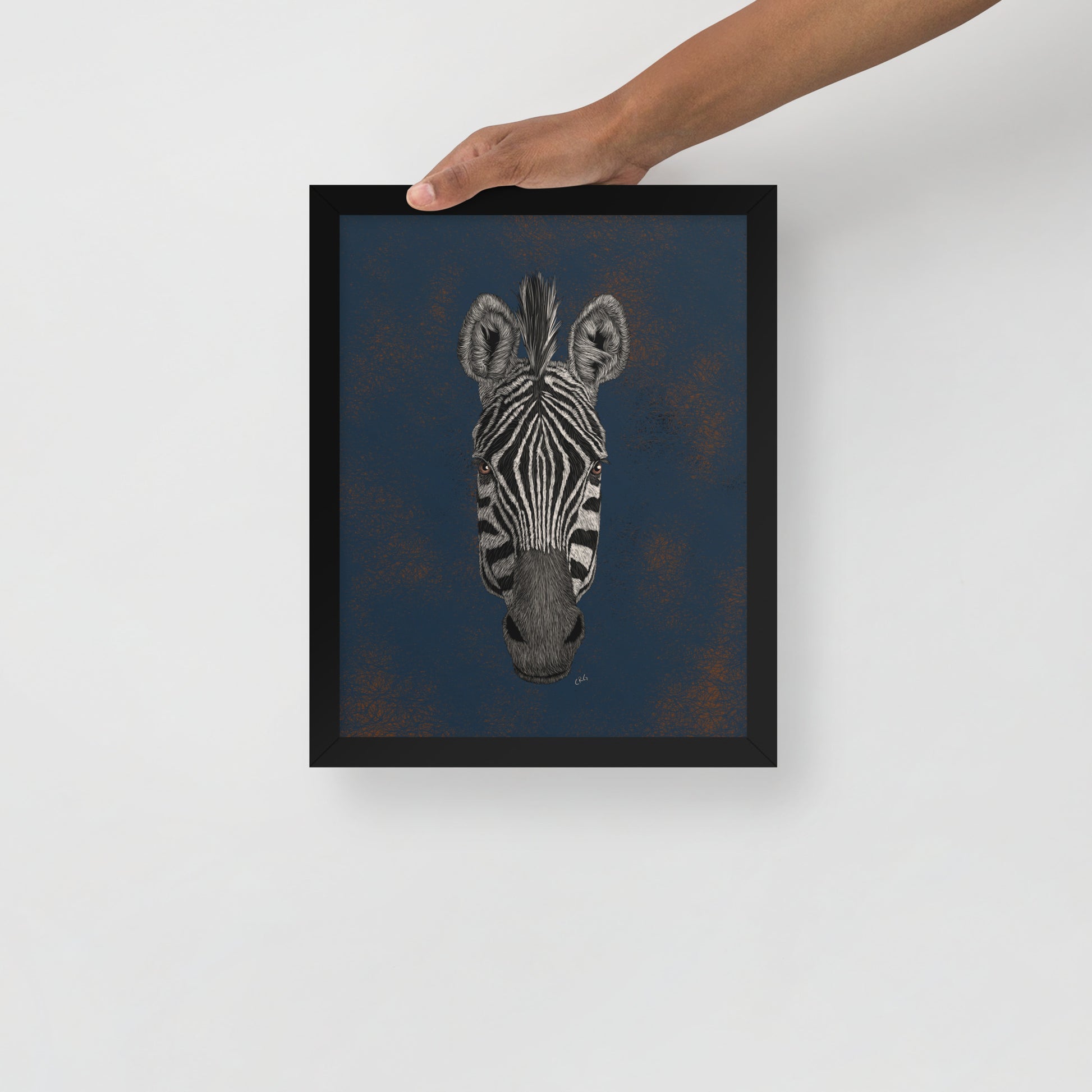 Zebra Art Print