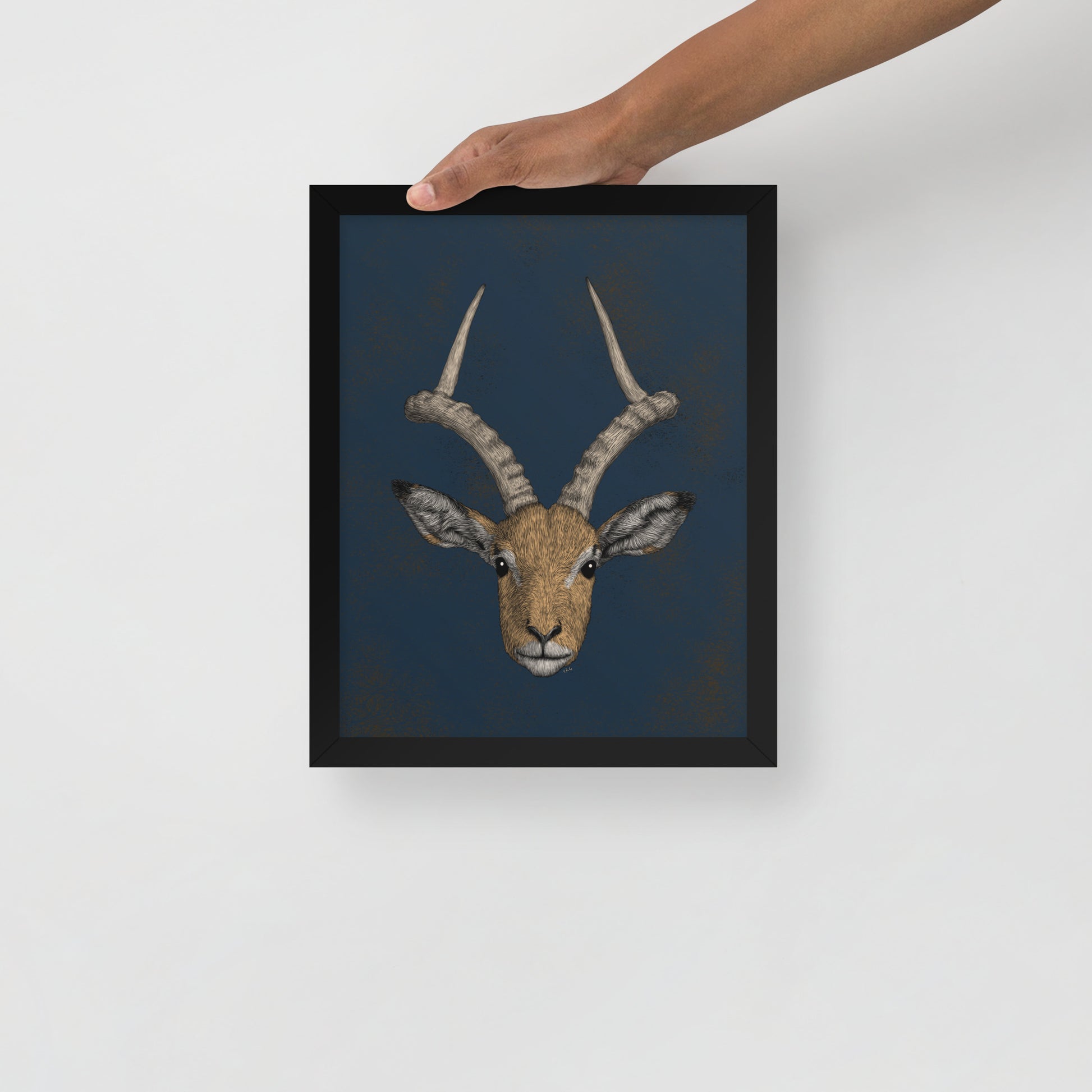 Impala Antelope Art Print