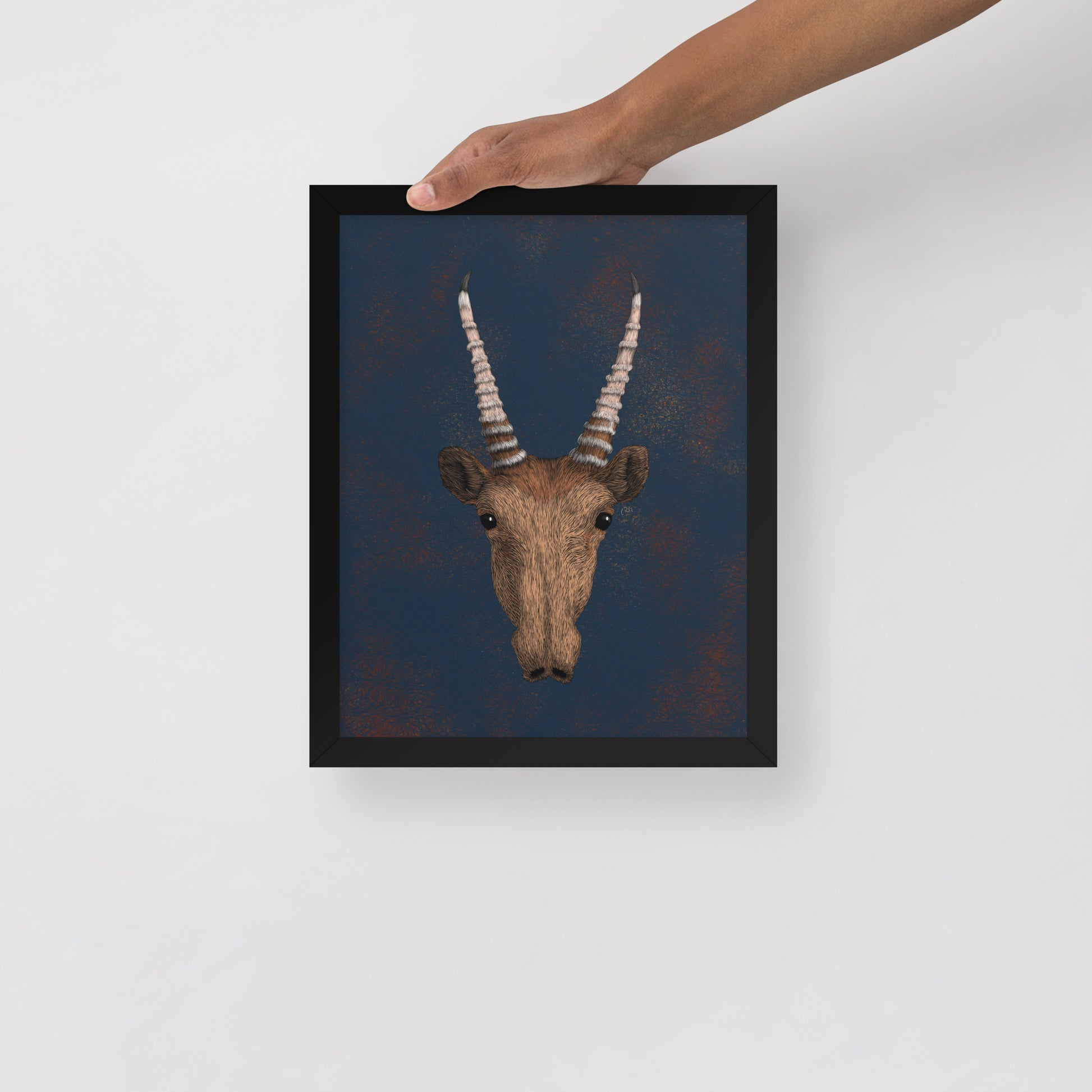 Saiga Antelope Art Print