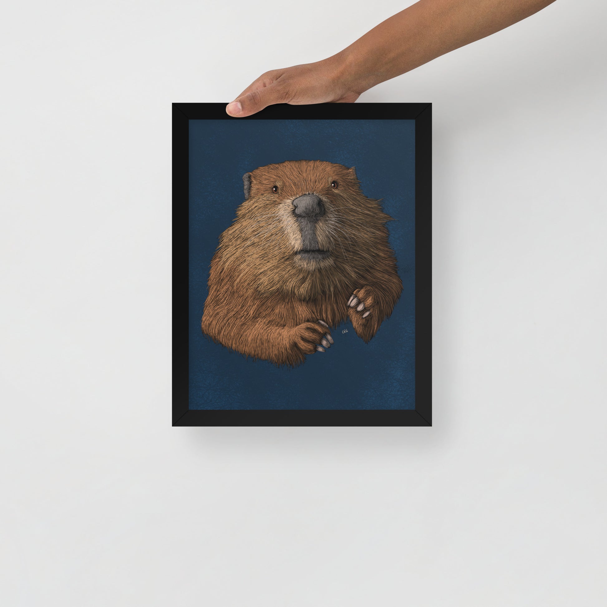 Beaver Art Print