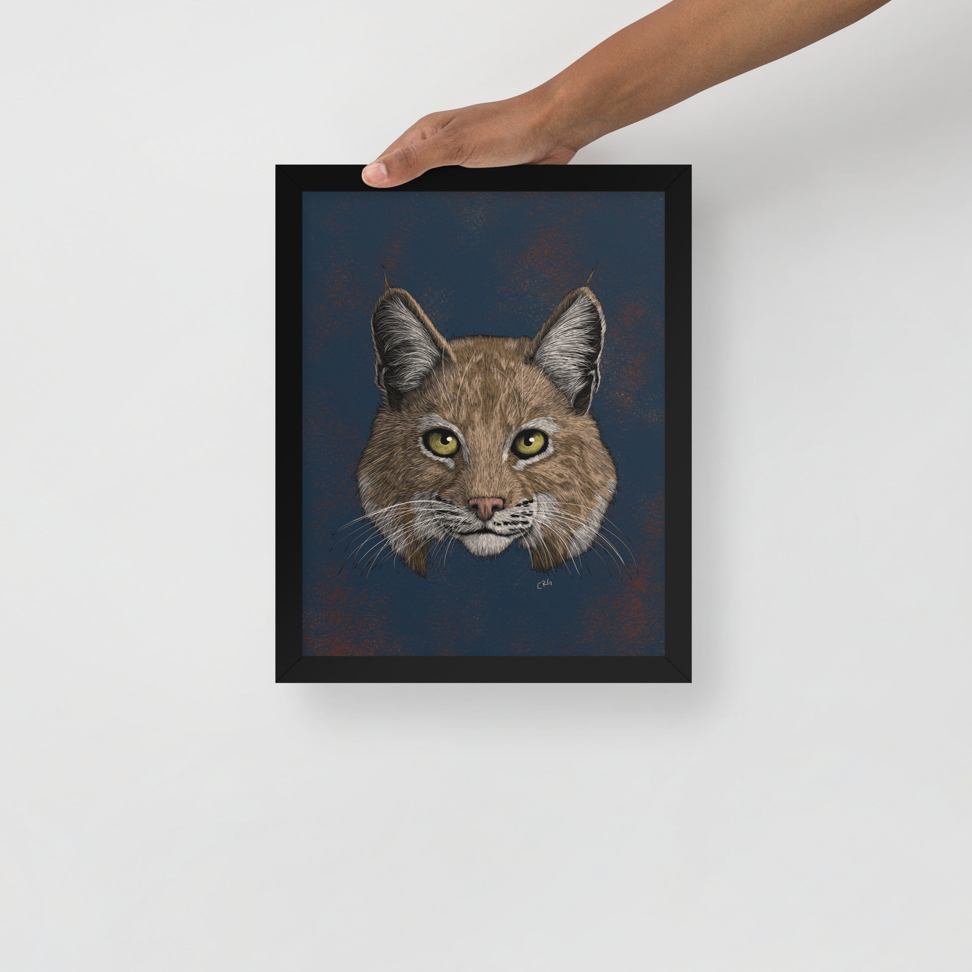 Bobcat Art Print