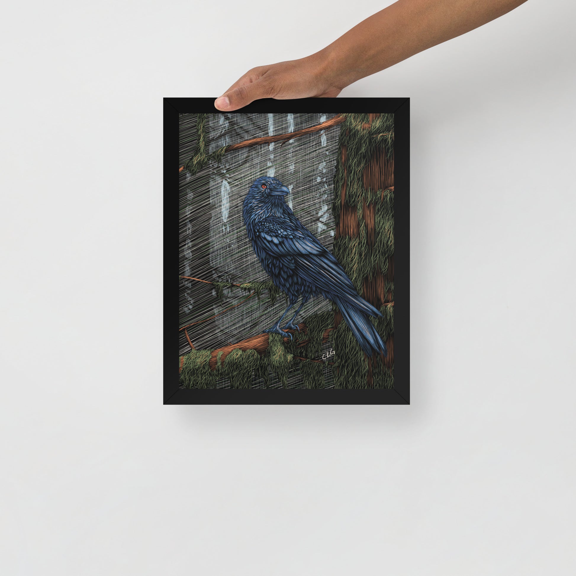 Mysterious Raven Art Print