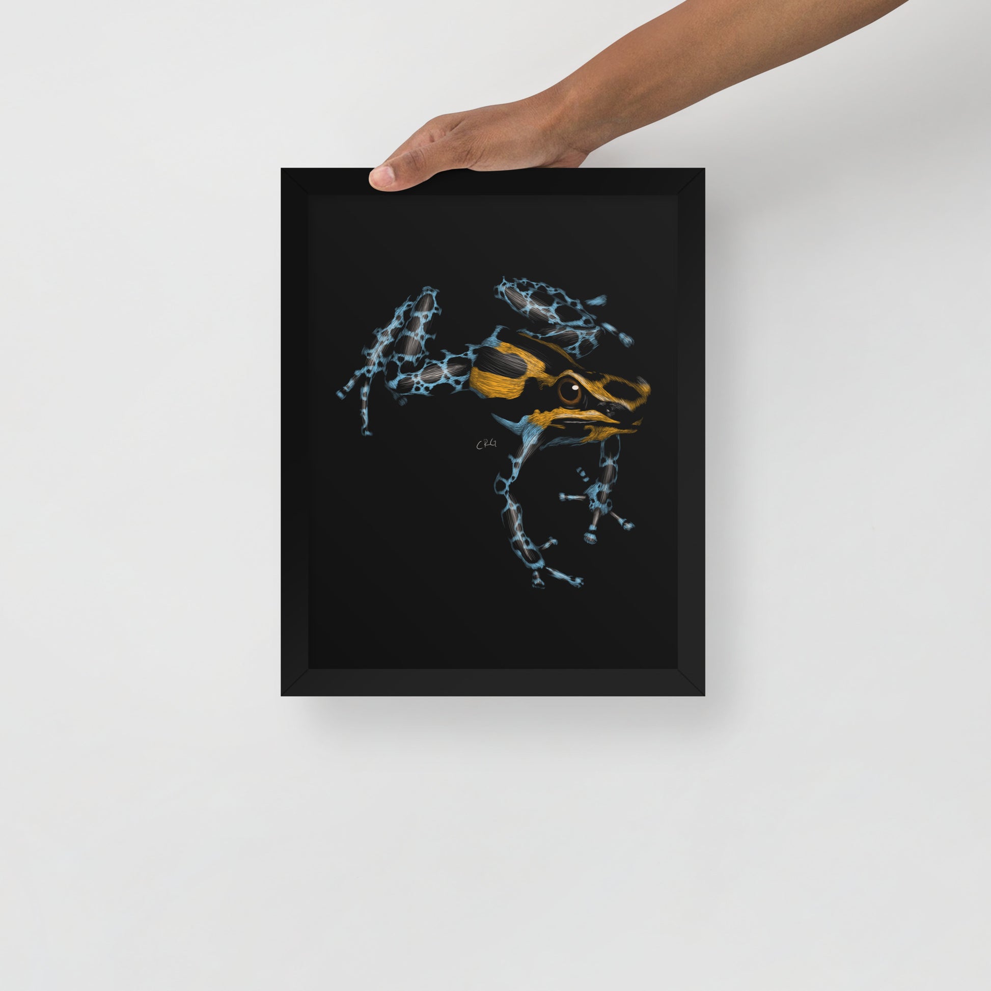 Poison Dart Frog Art Print