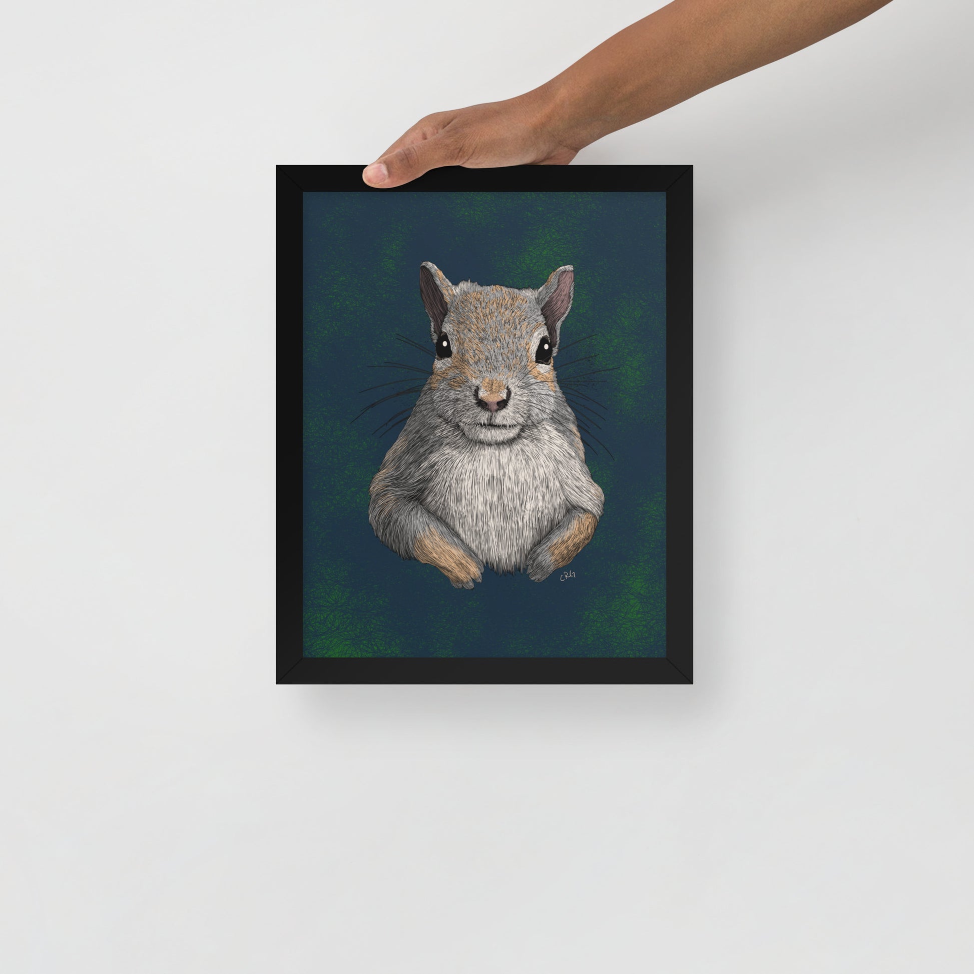 Squirrel Art Print