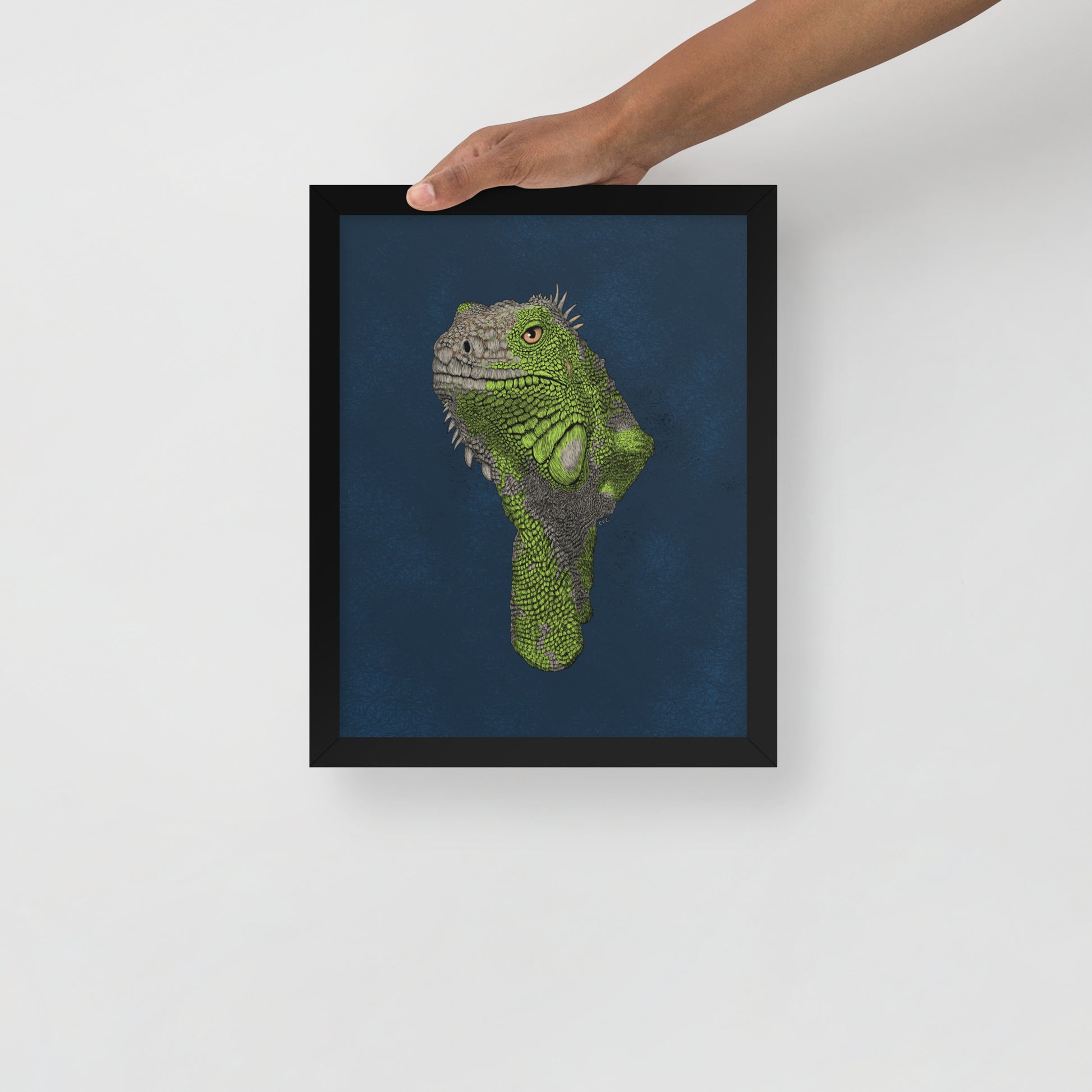 Iguana Art Print