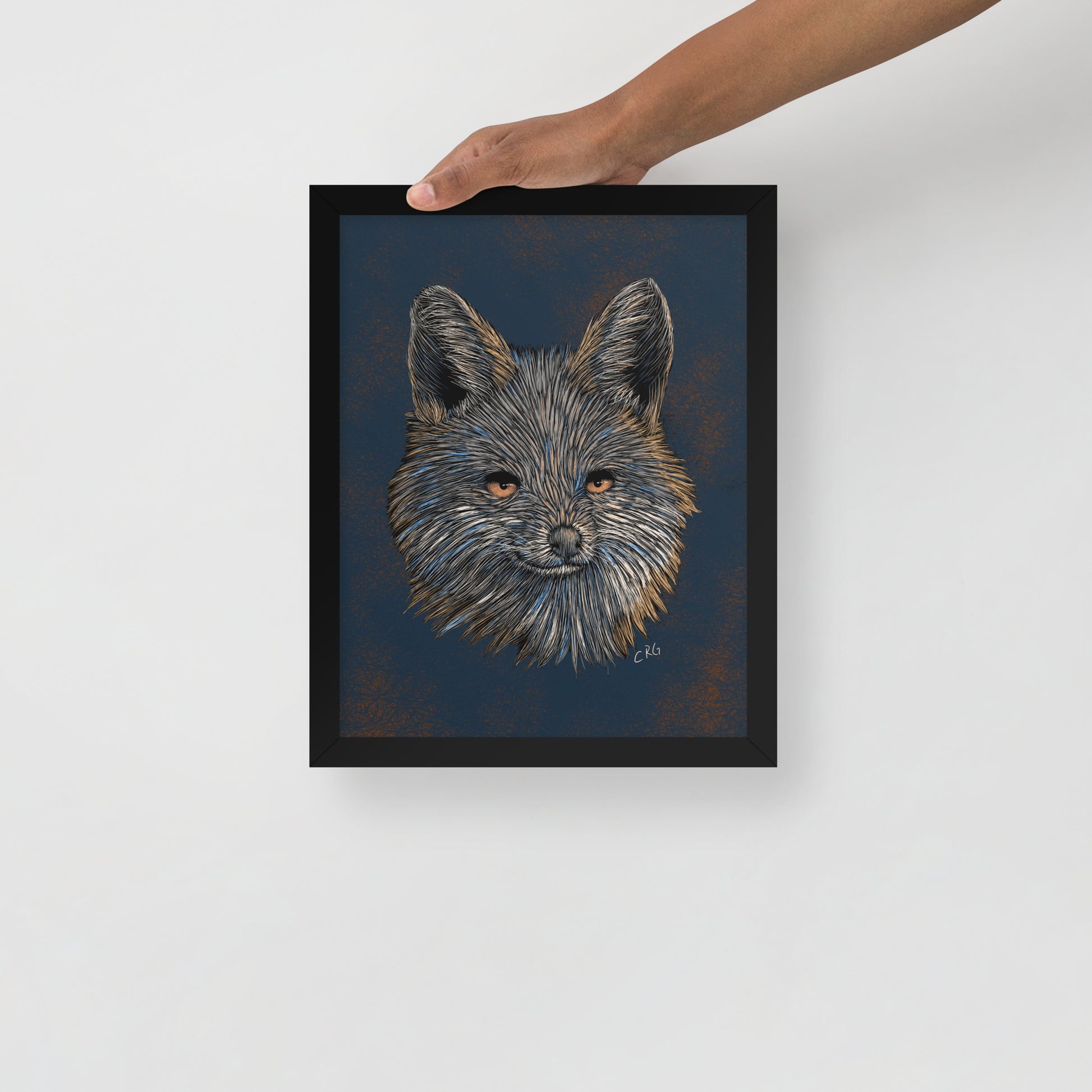 Gray Fox Art Print