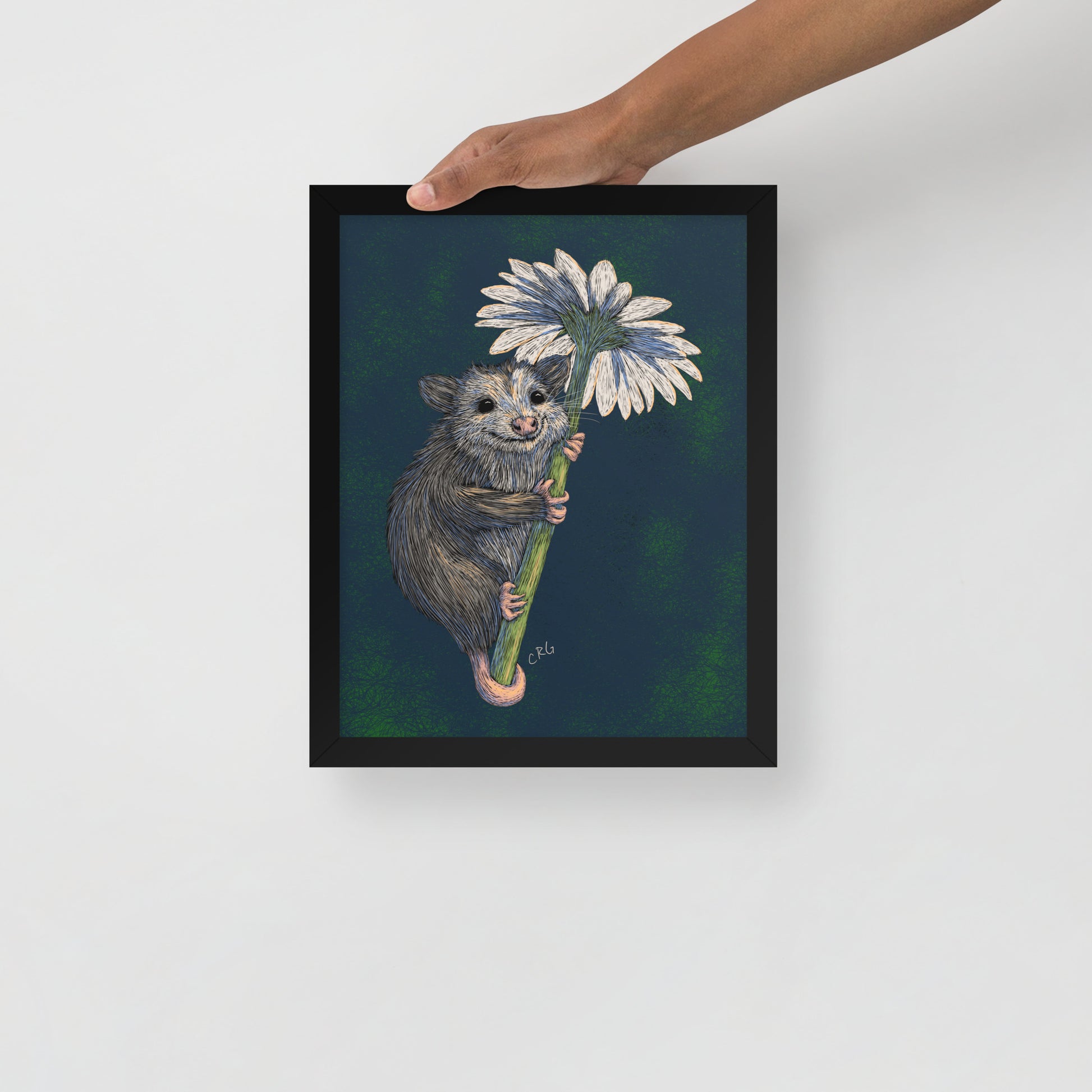 Opossum Hugging Daisy Art Print