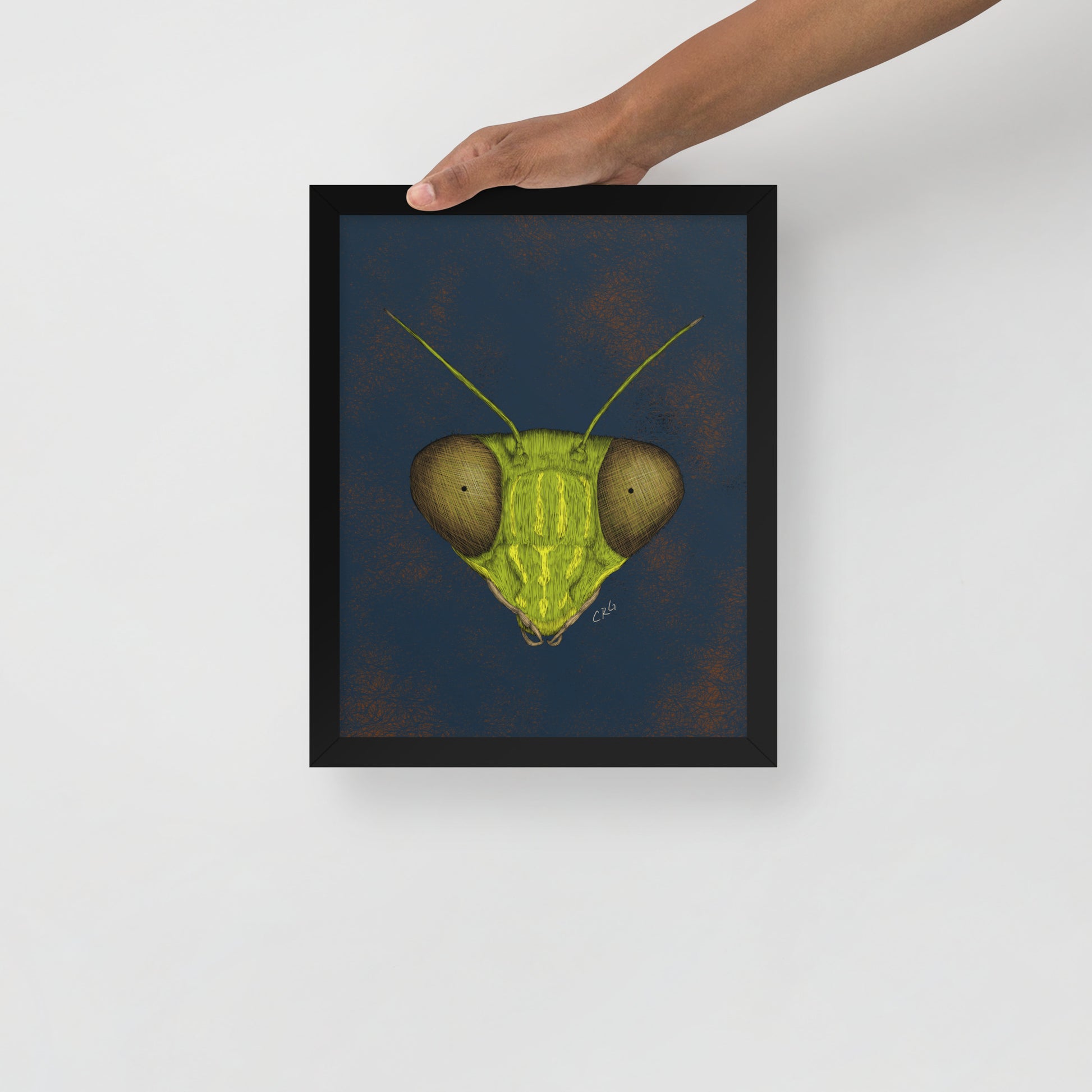 Praying Mantis Art Print