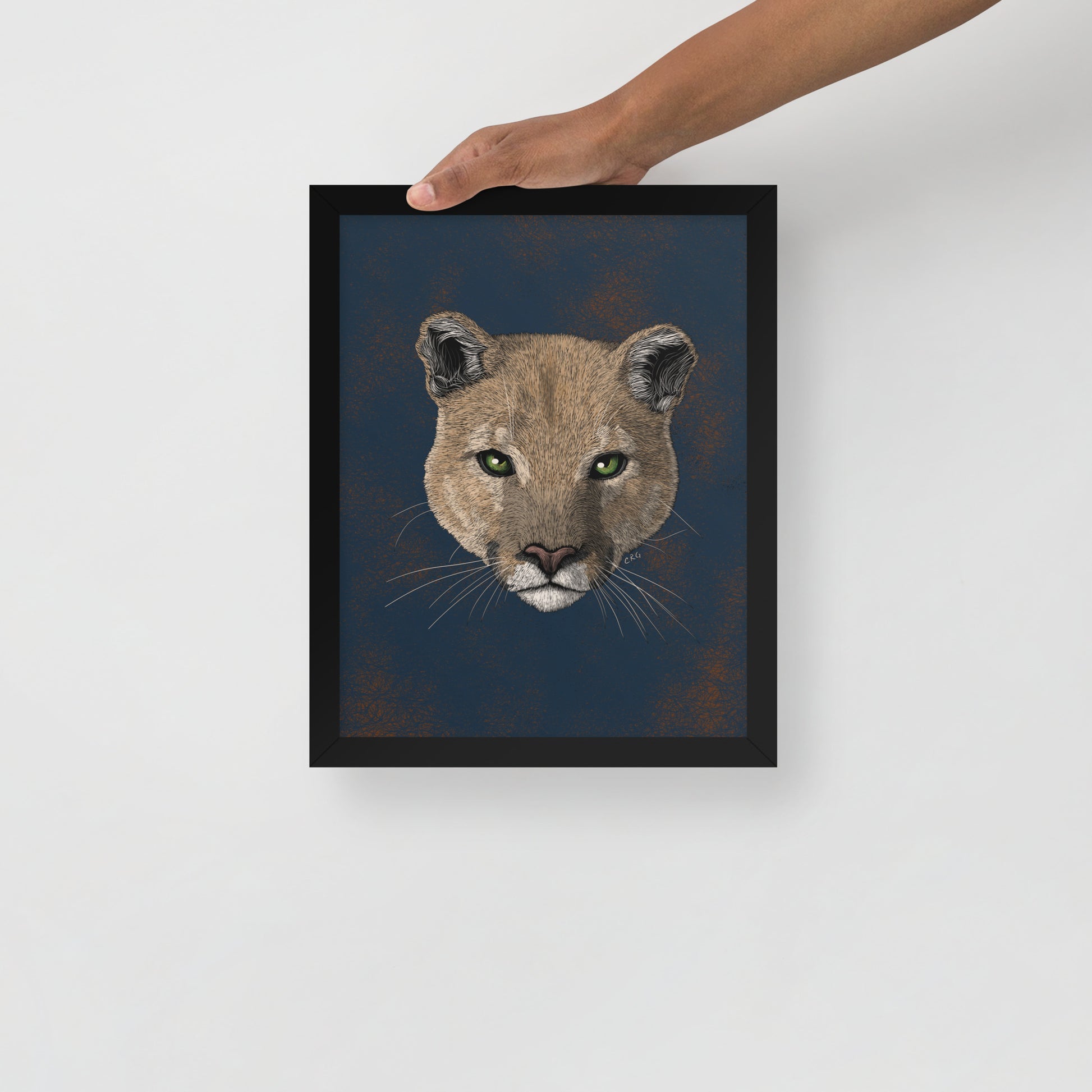 Mountain Lion Art Print