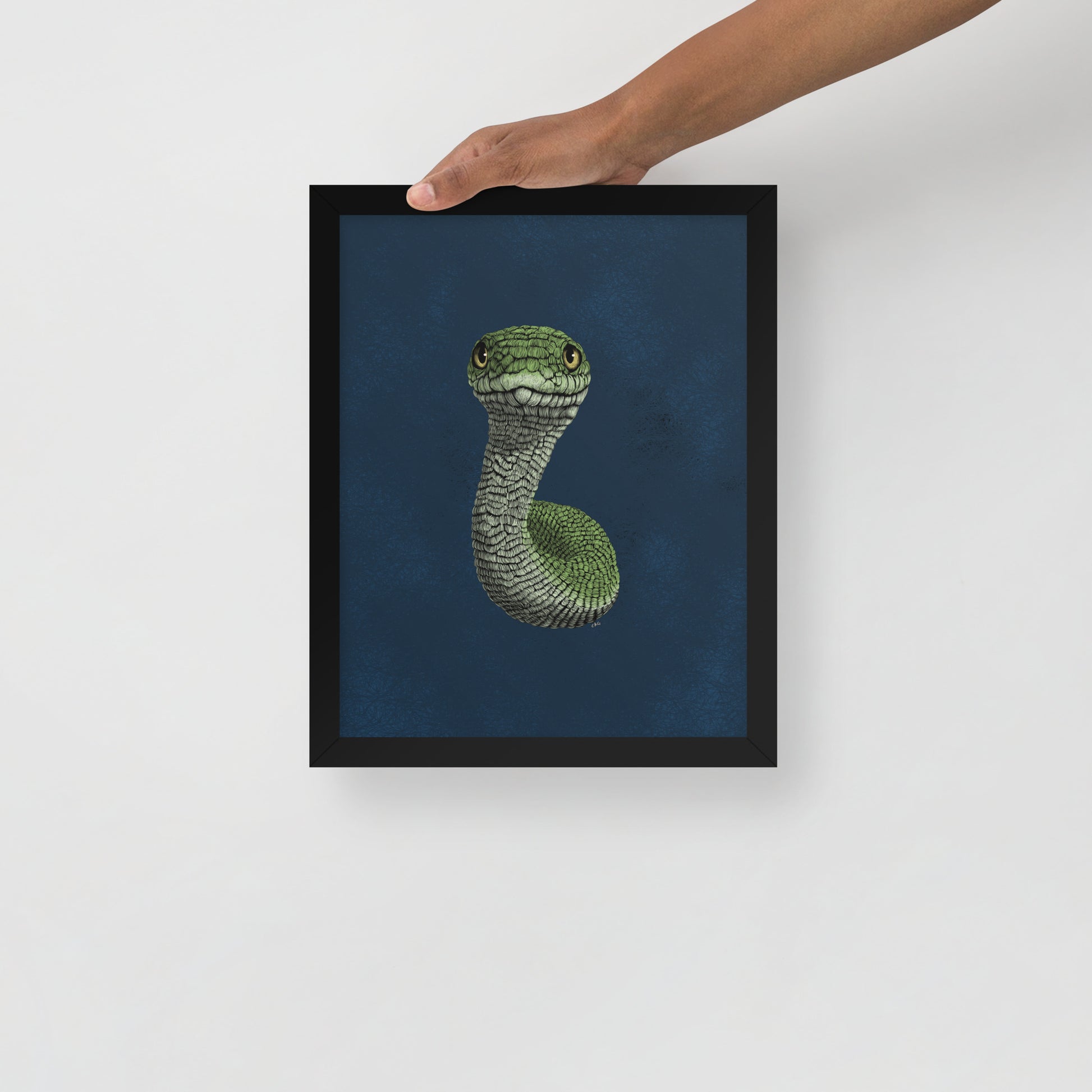 Smooth Green Snake Art Print