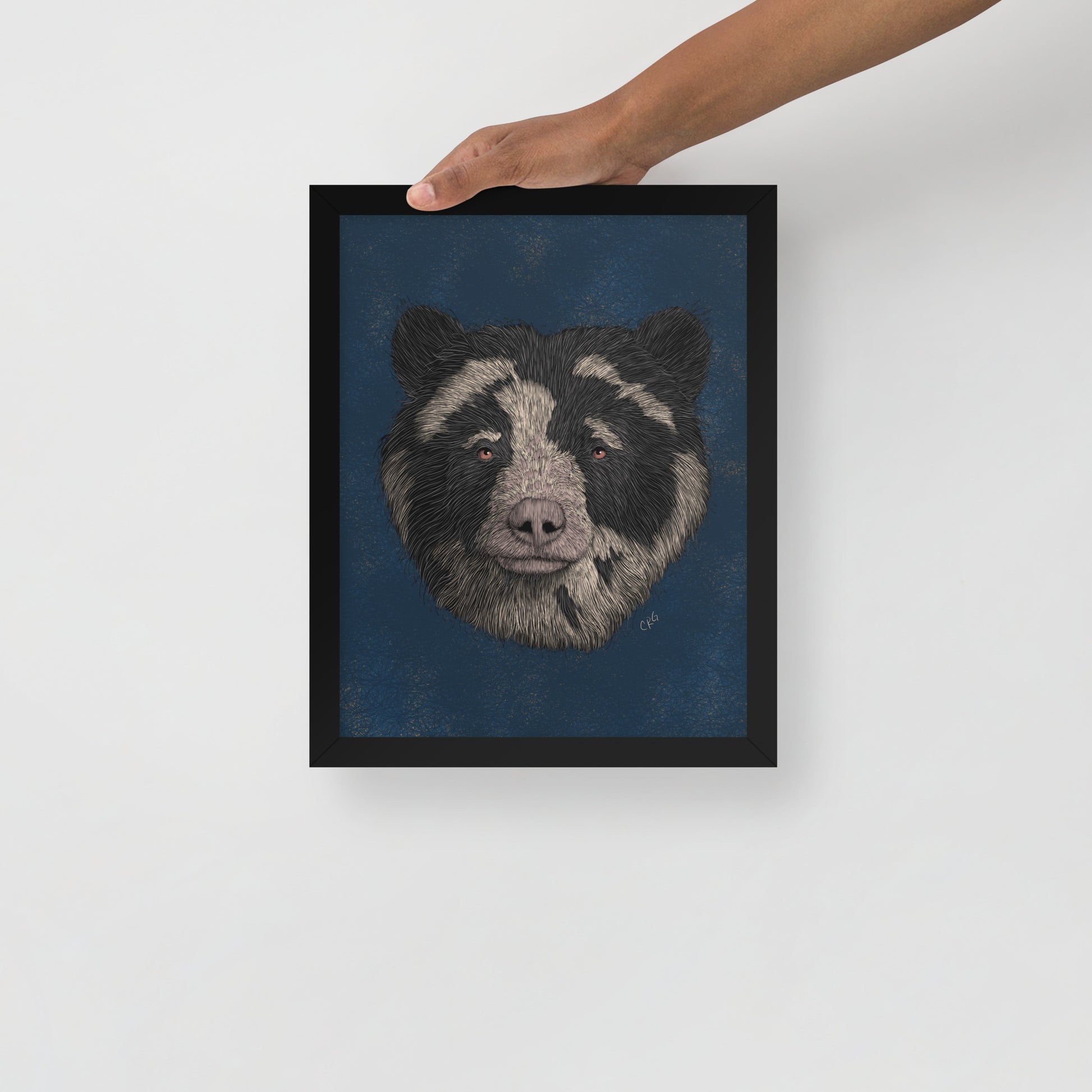 Spectacled Bear Art Print