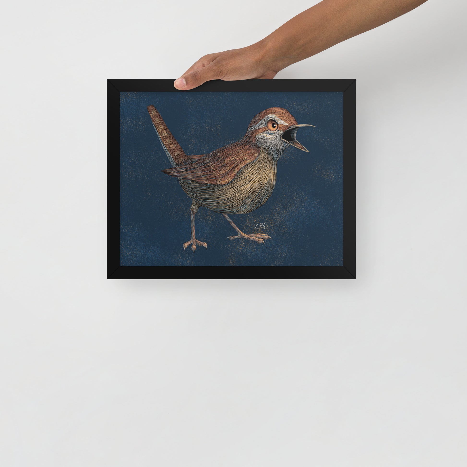 Angry Wren Art Print