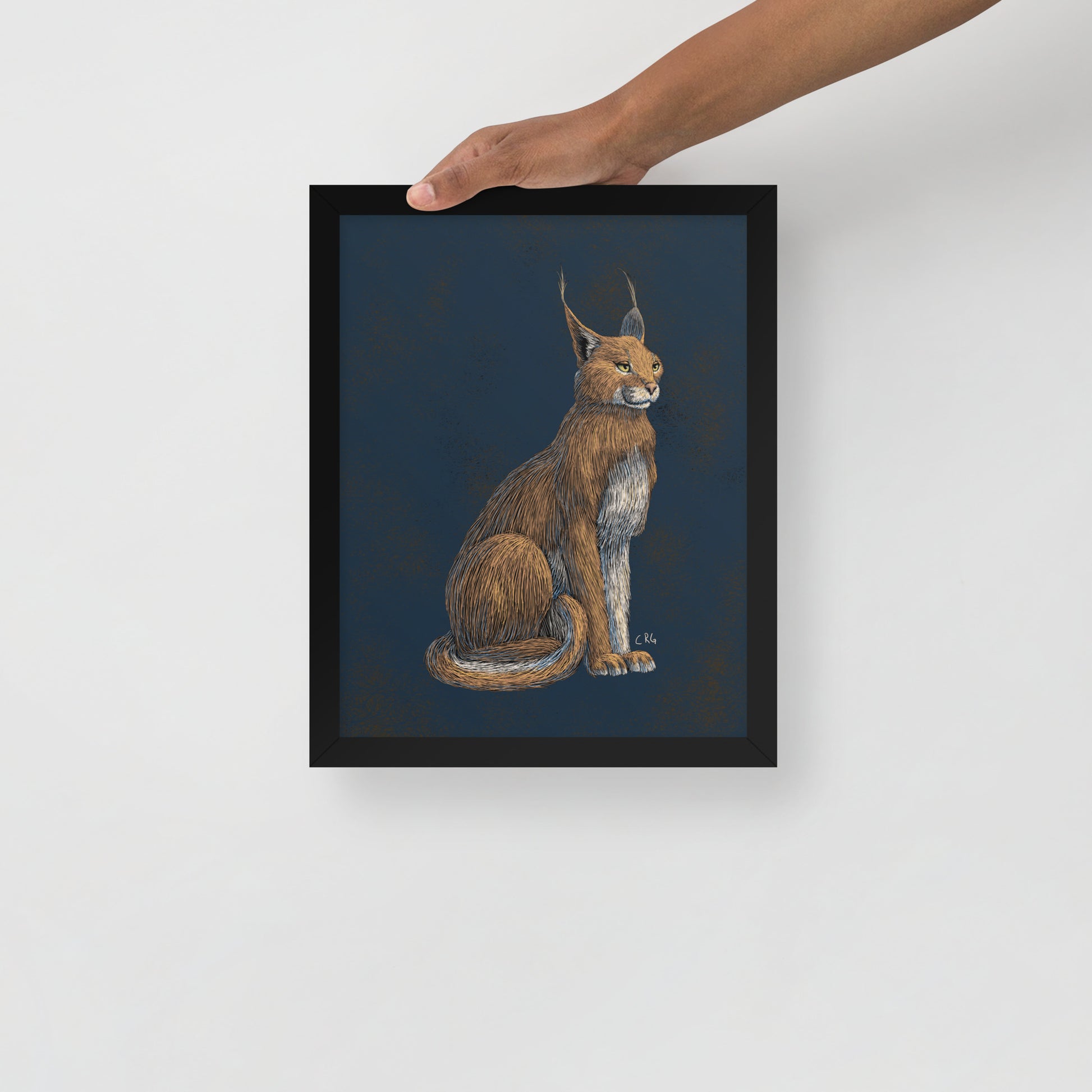 Regal Caracal Art Print