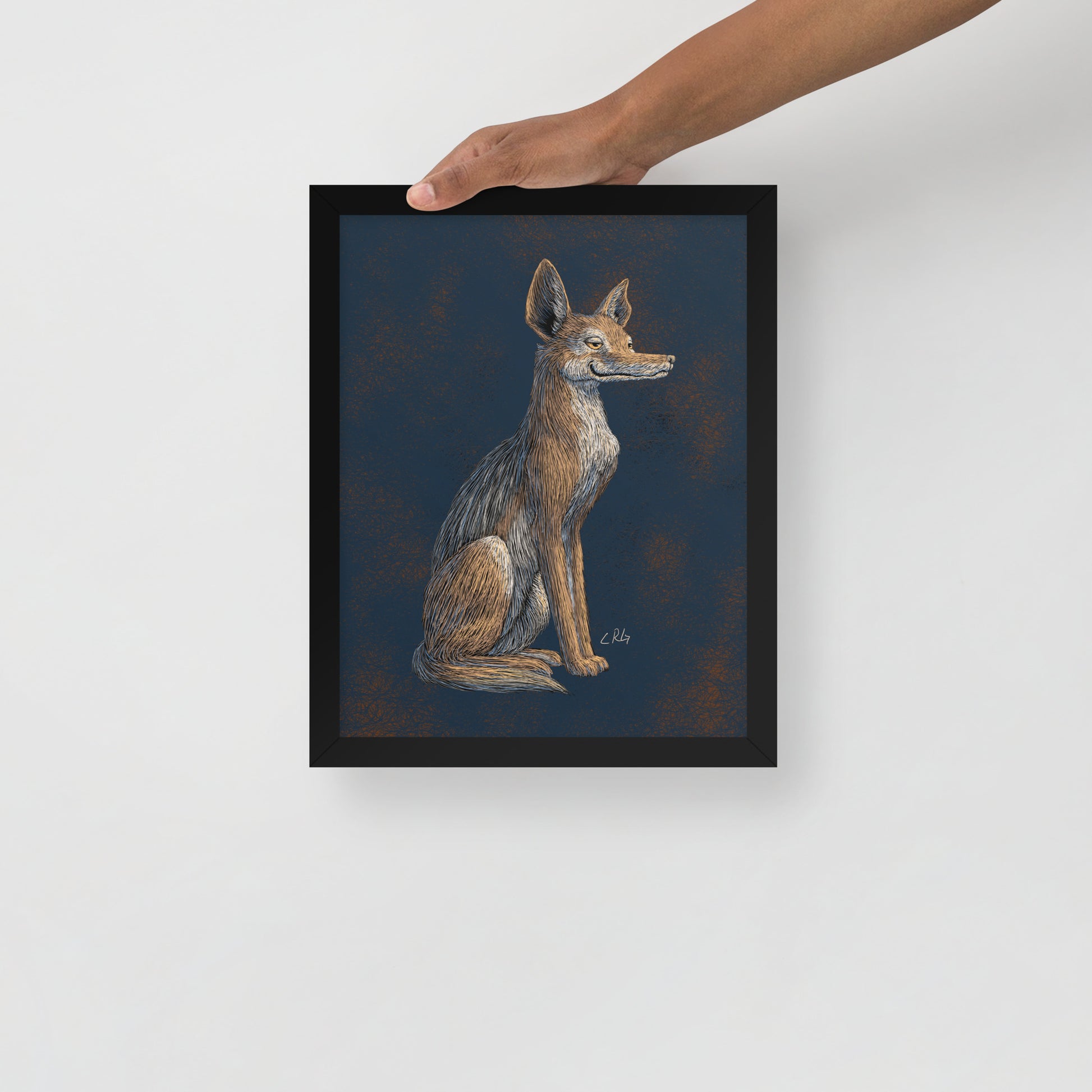 Savvy Jackal Art Print