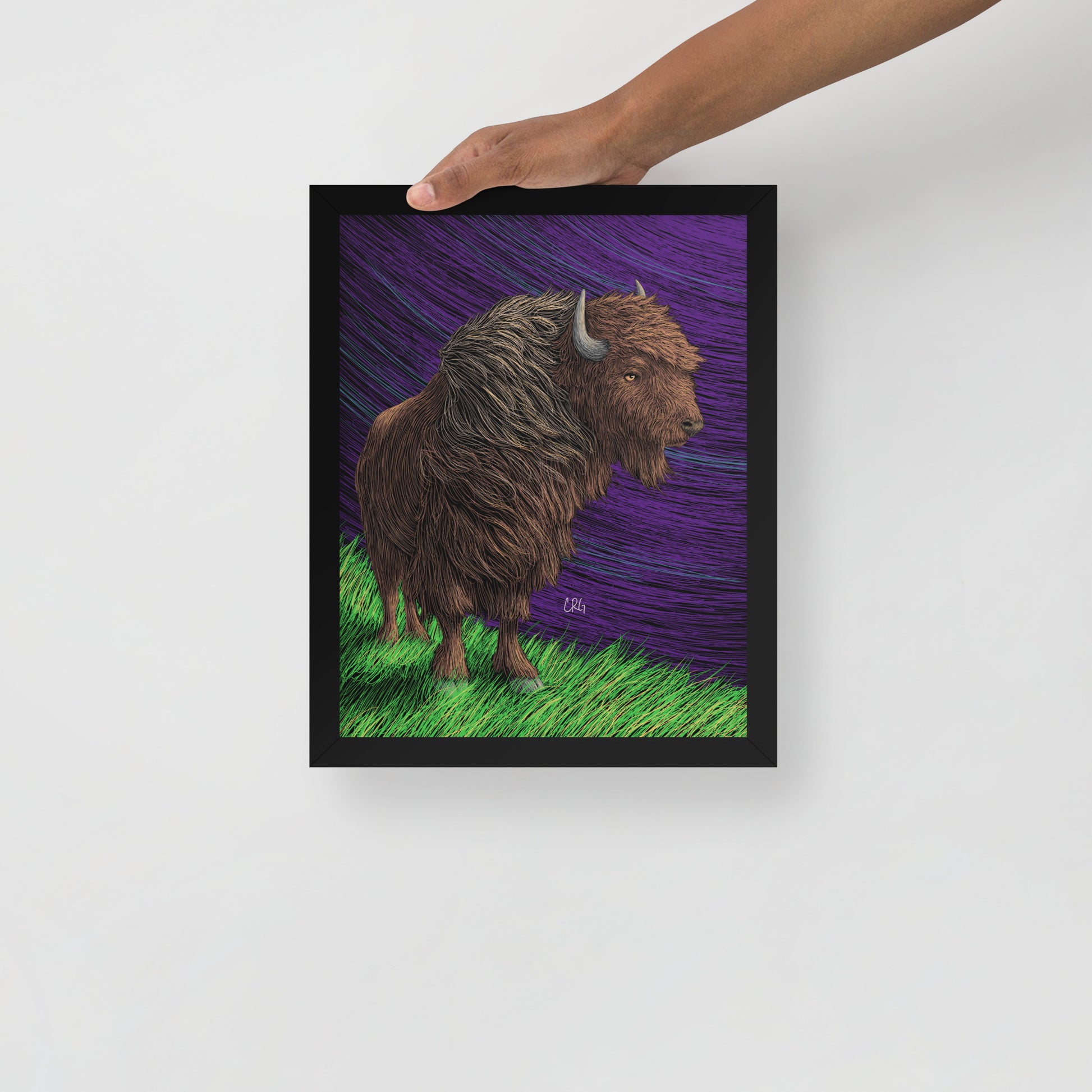 Bison Art Print