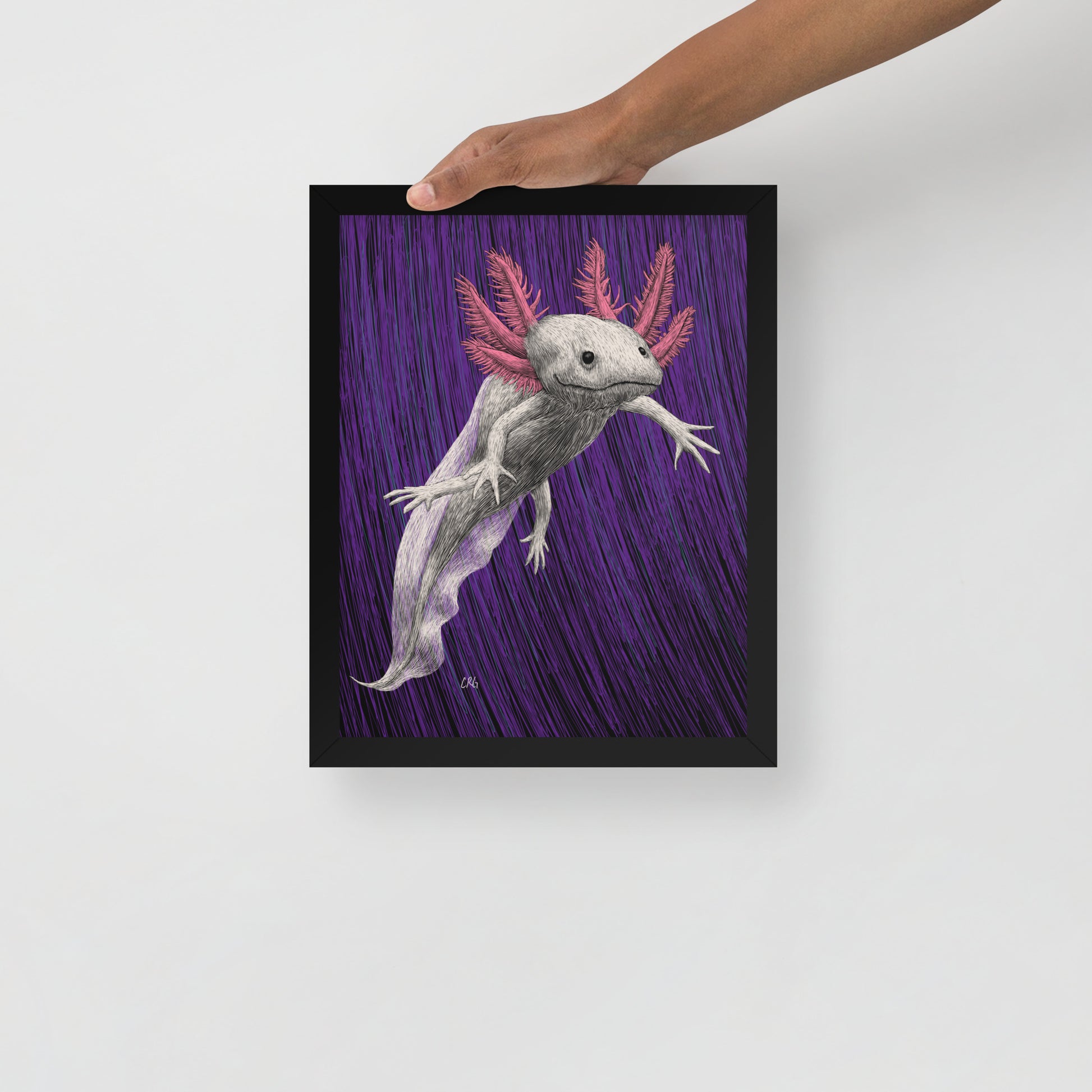 Axolotl Art Print