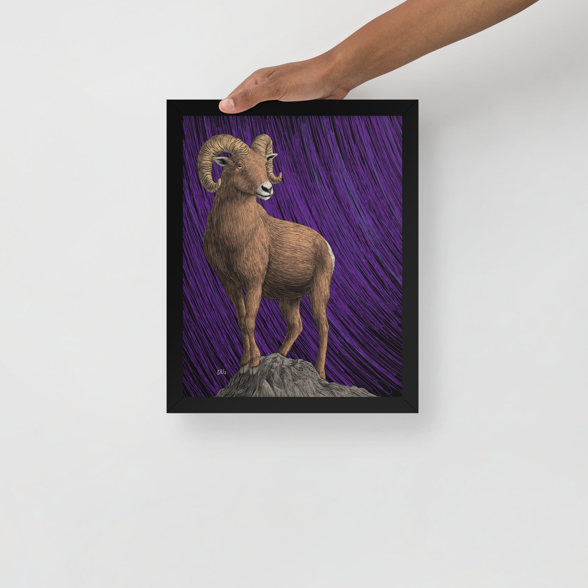 Bighorn Sheep Art Print