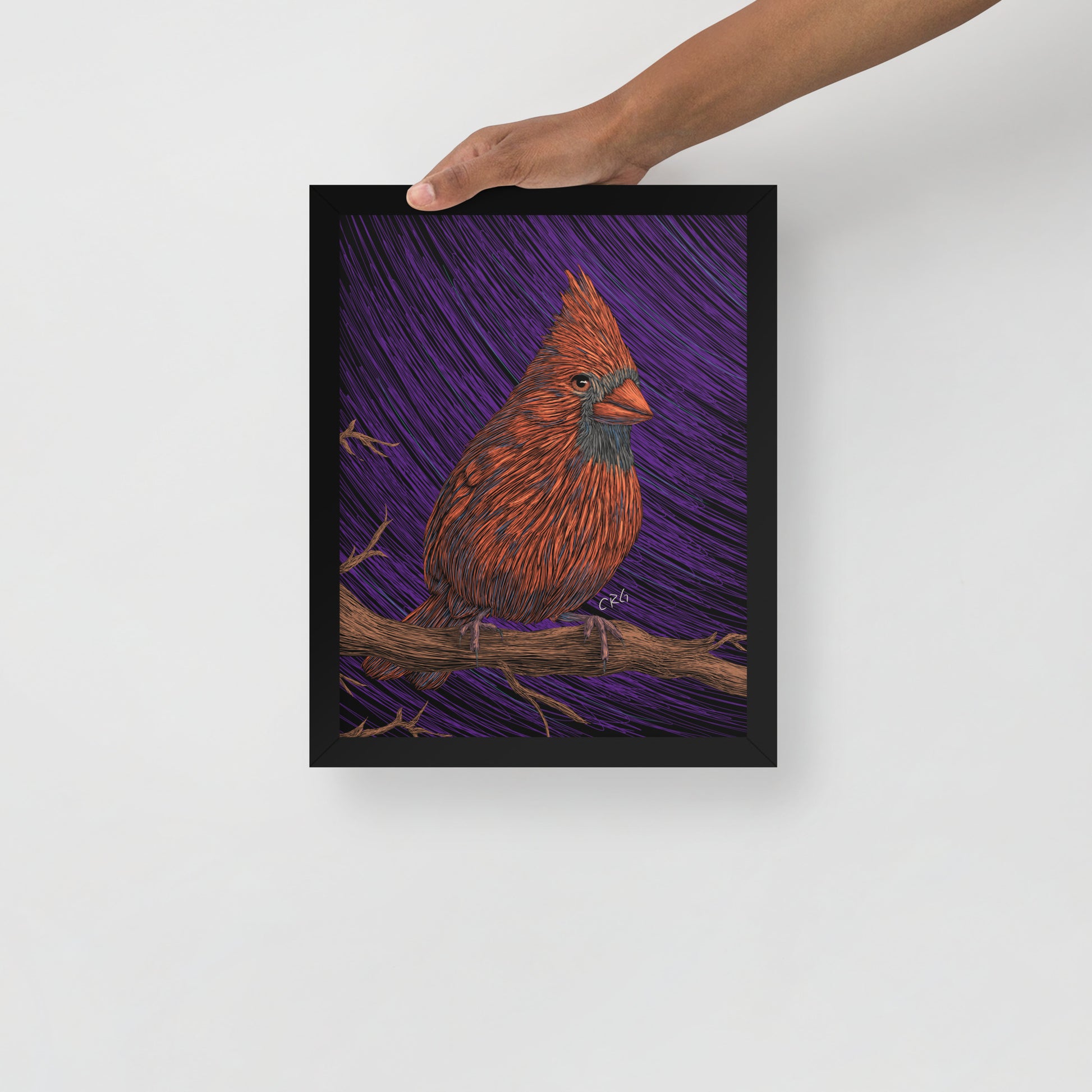 Cardinal Art Print
