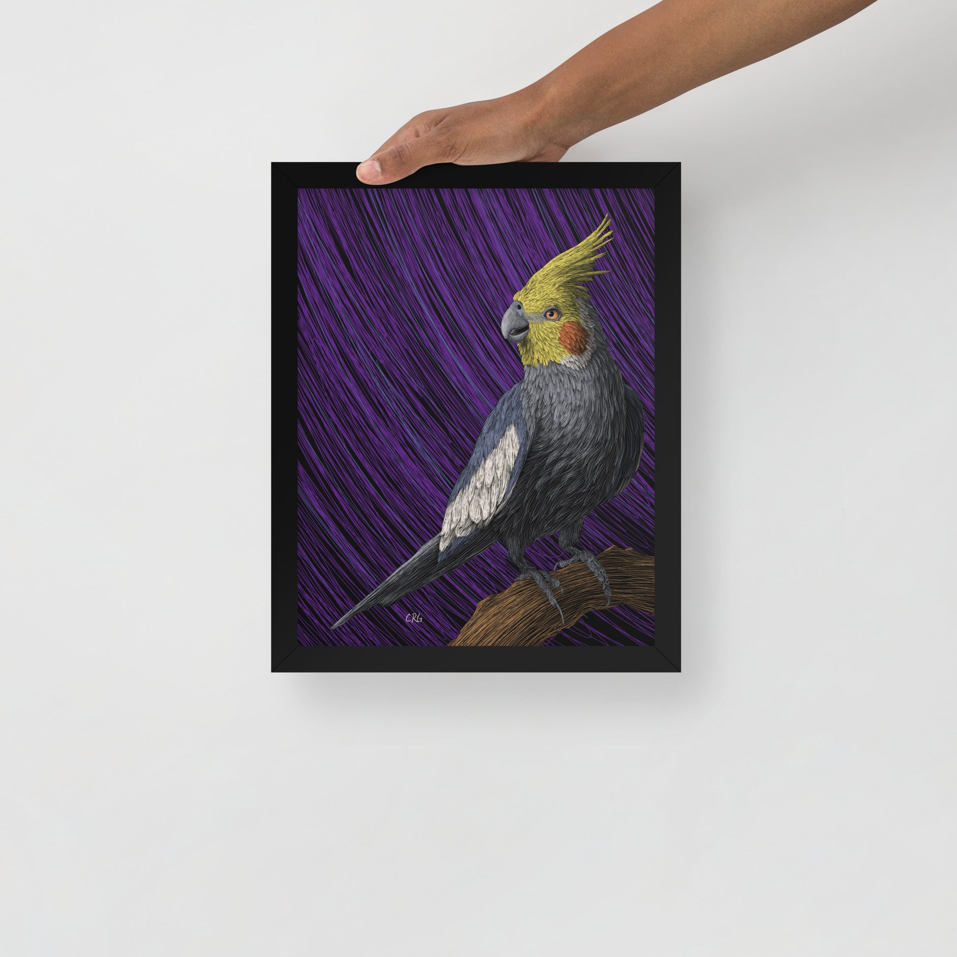 Cockatiel Art Print