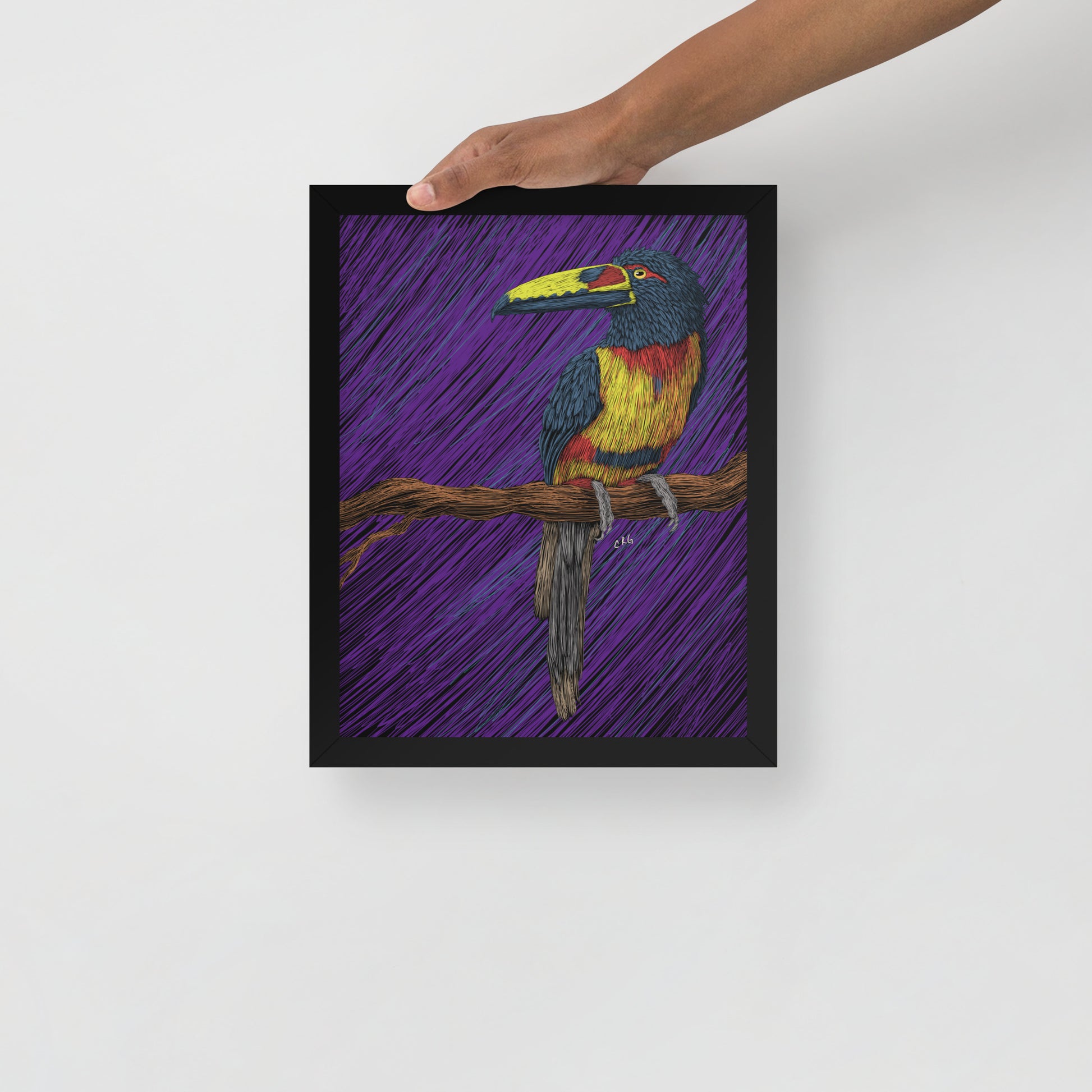 Toucan Art Print