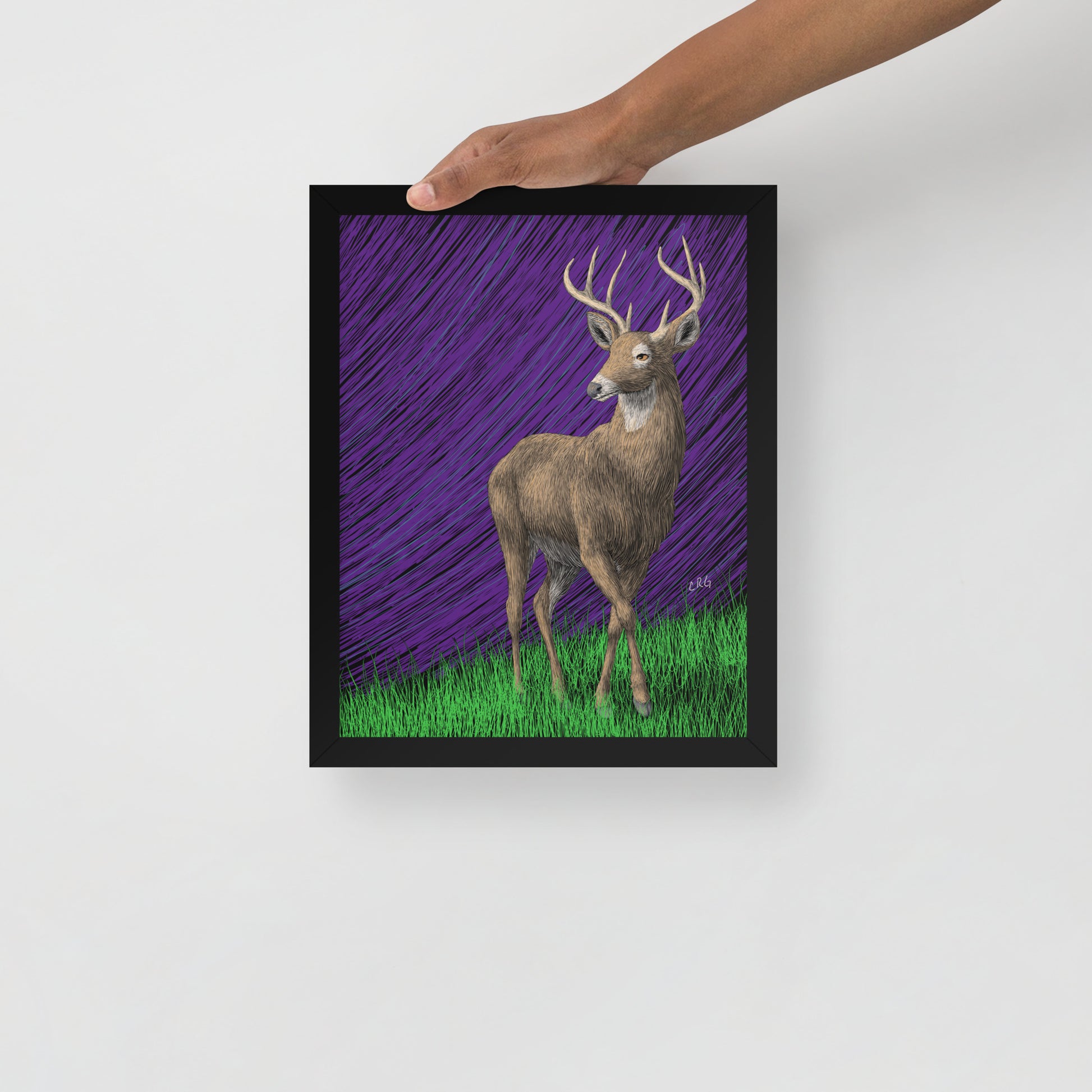 Deer Art Print