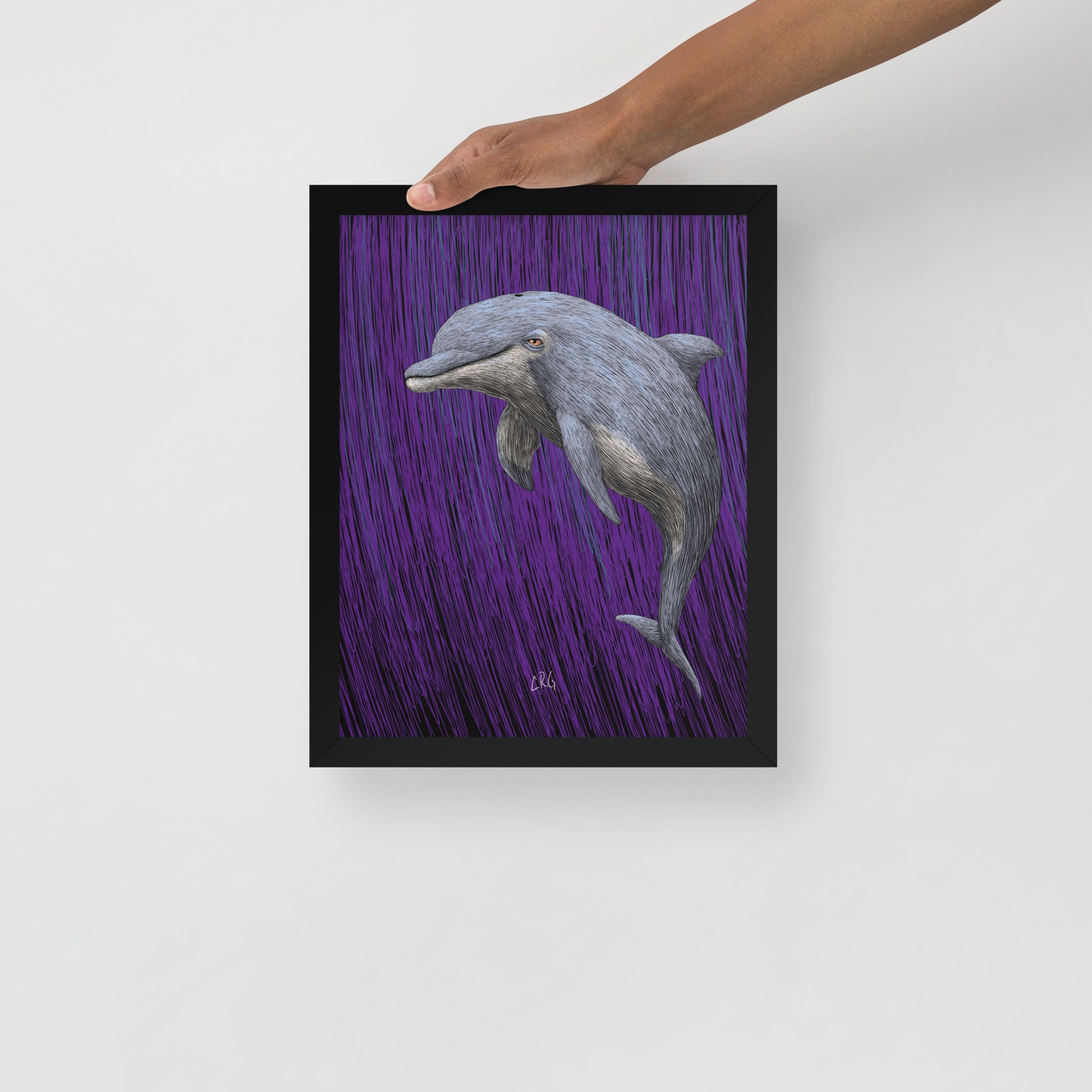 Dolphin Art Print