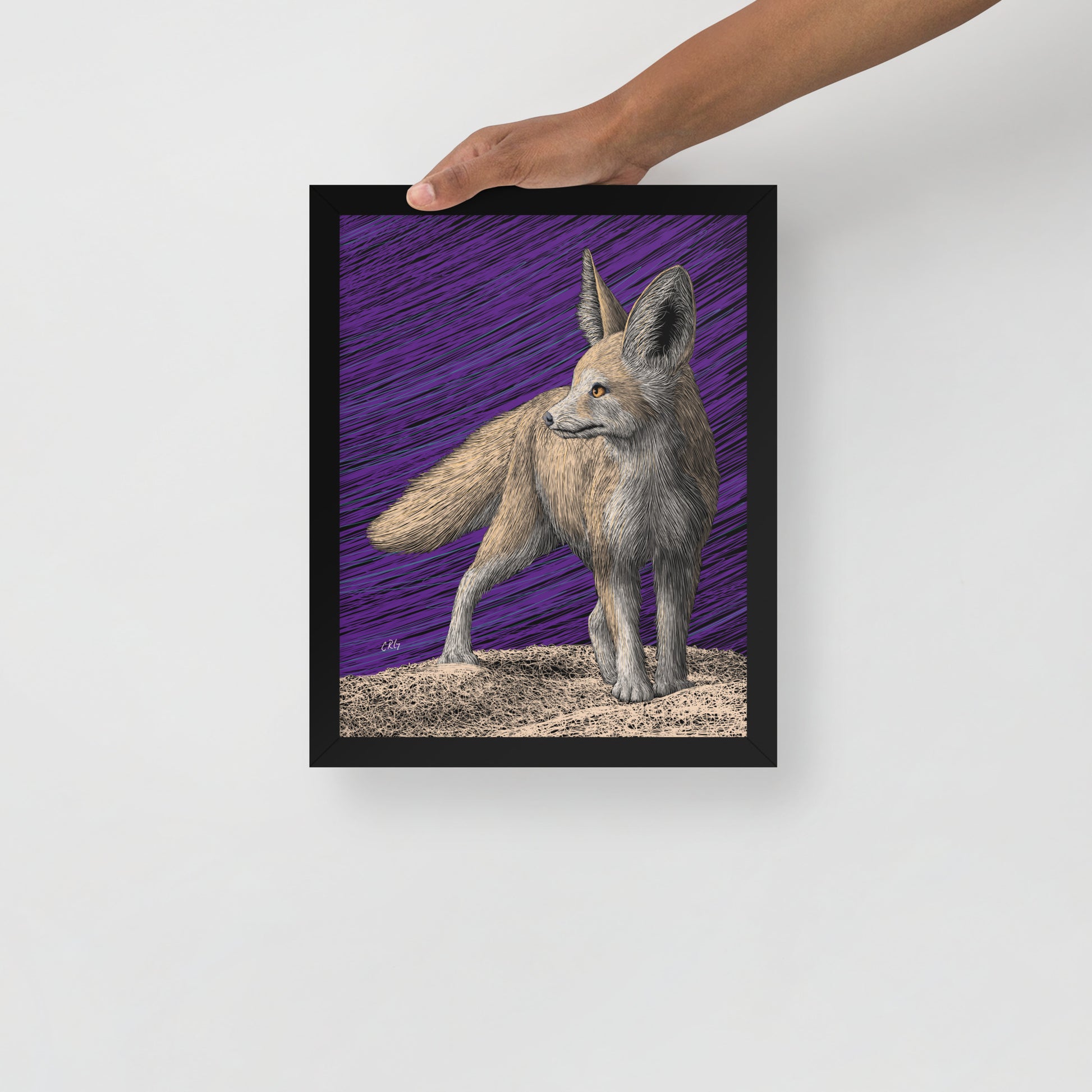 Fennec Fox Art Print