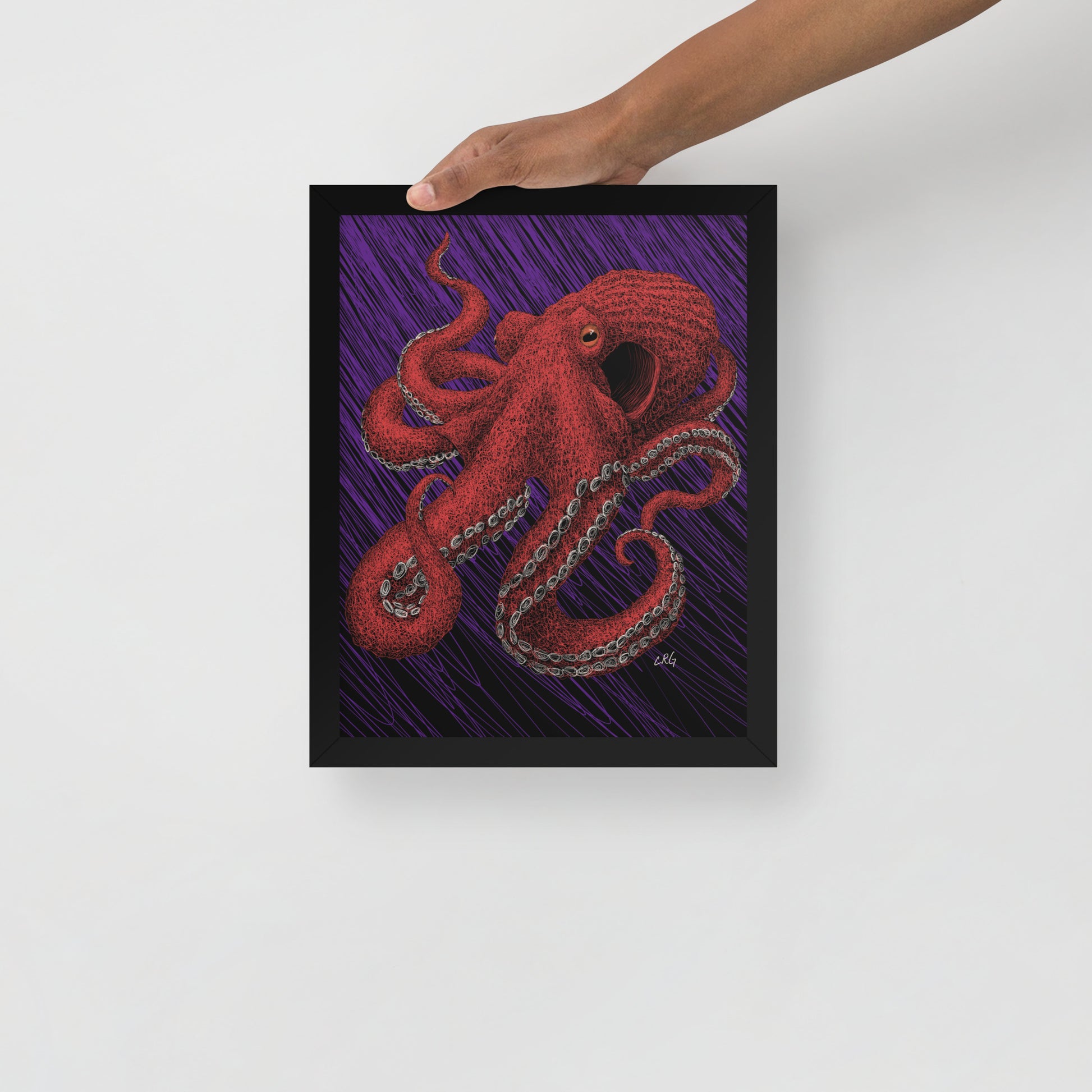 Octopus Art Print