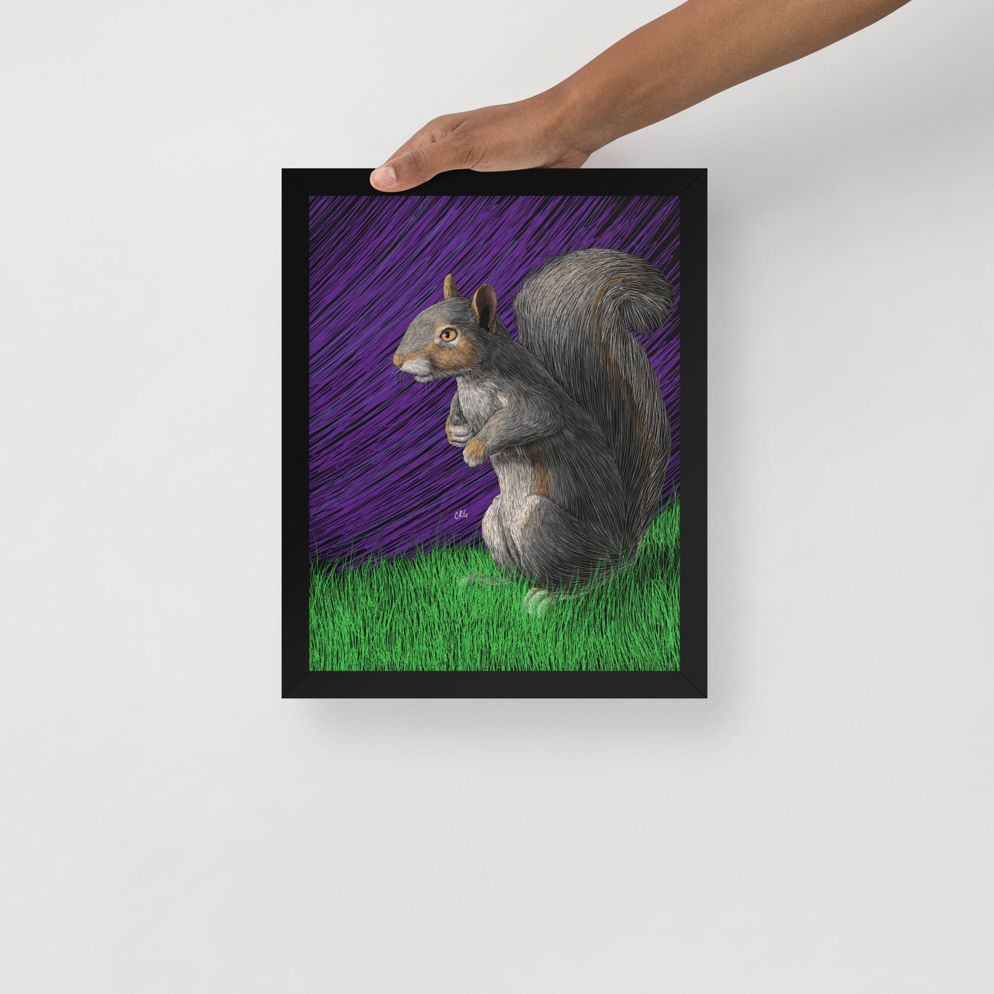 Squirrel Art Print