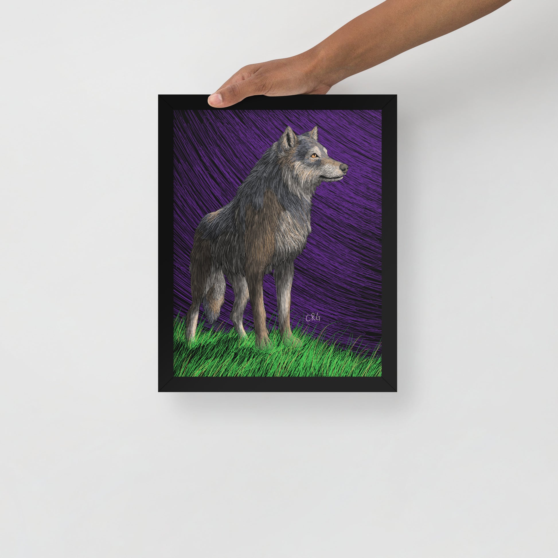Gray Wolf Art Print