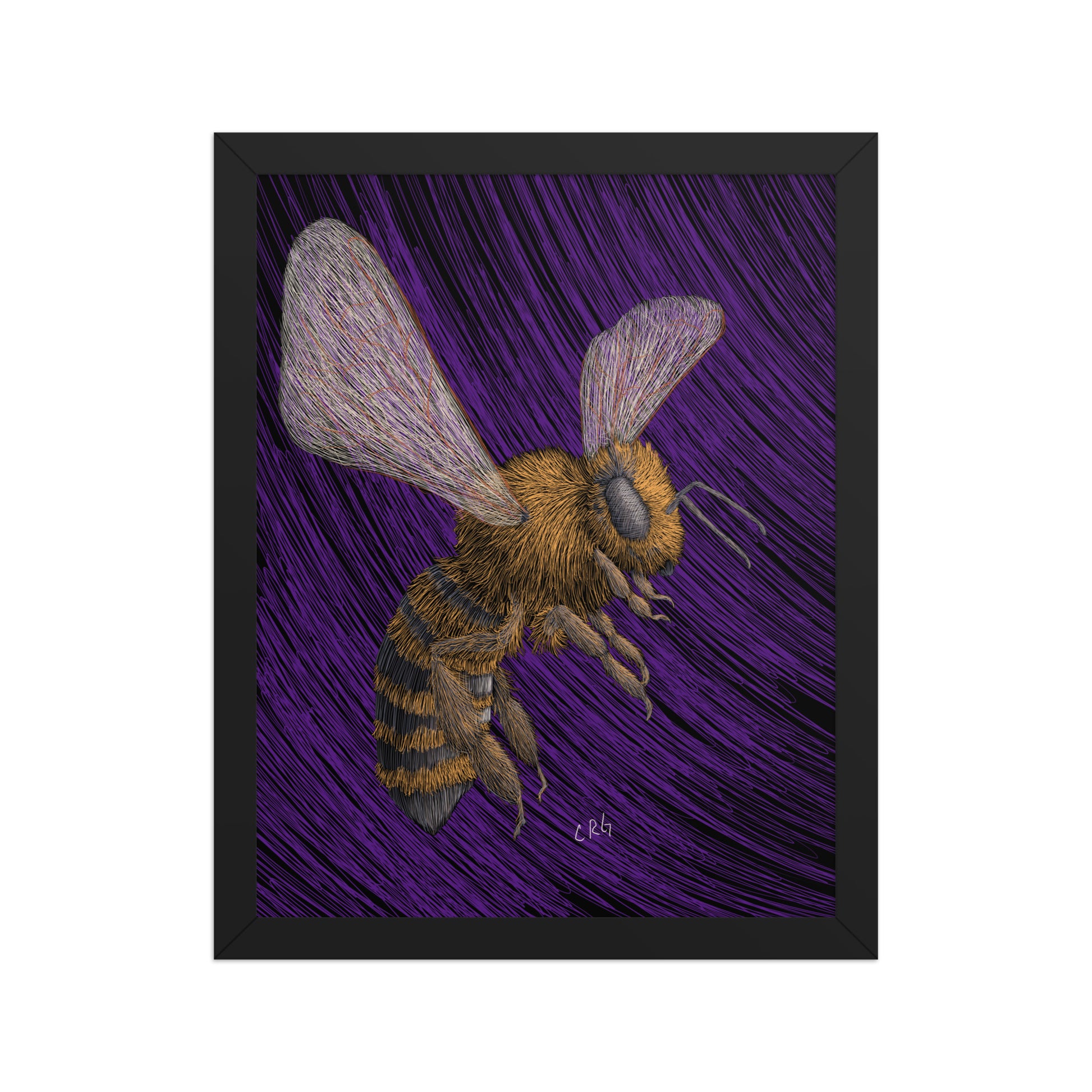 Honeybee Art Print
