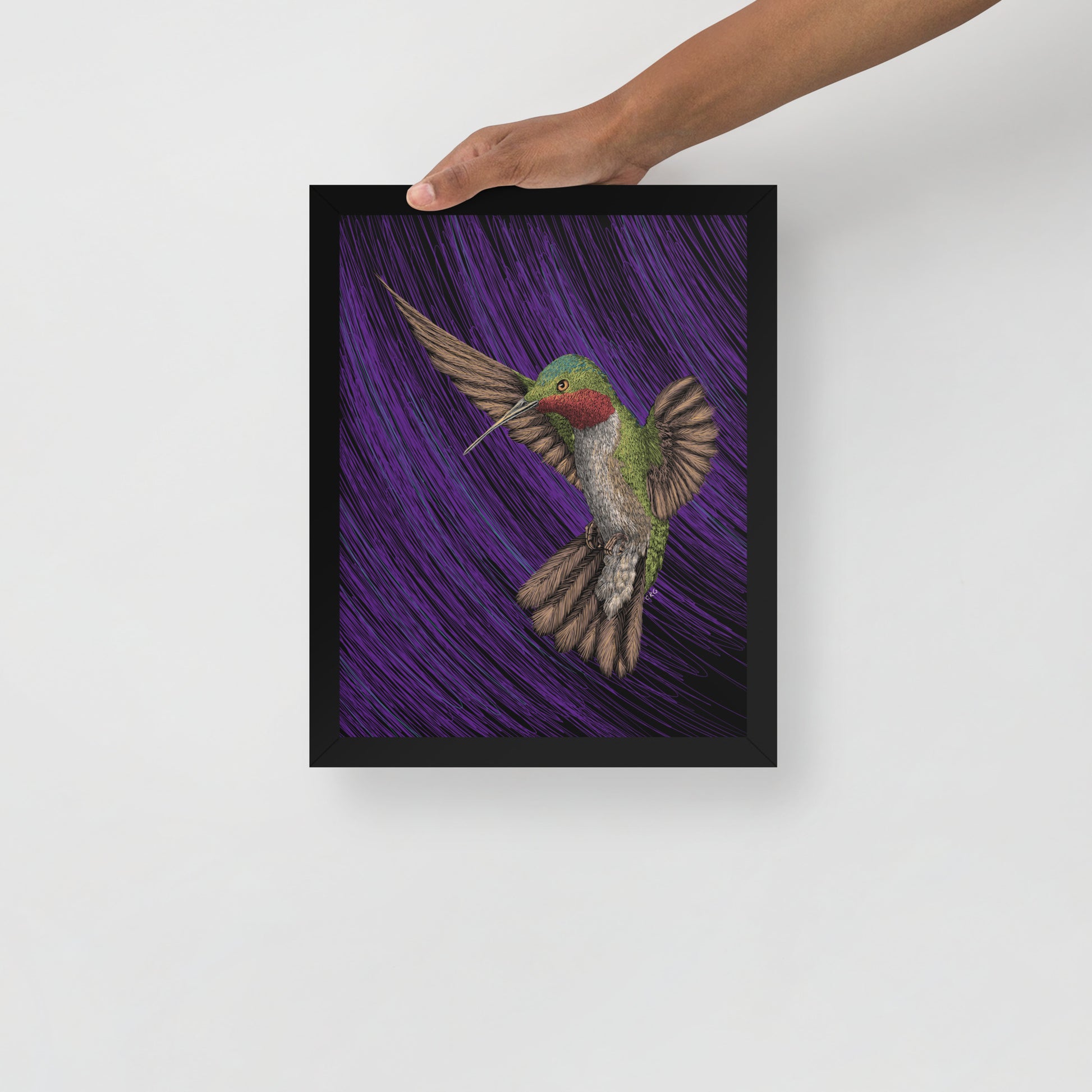 Hummingbird Art Print