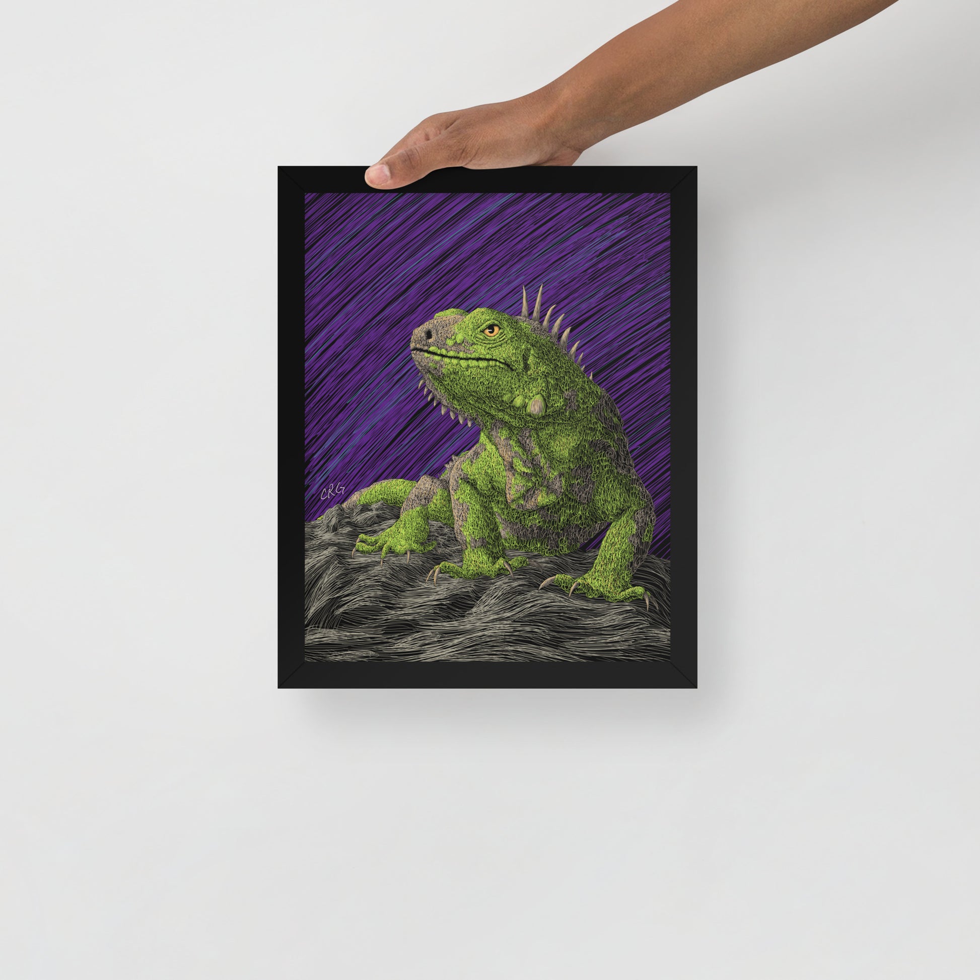 Iguana Art Print