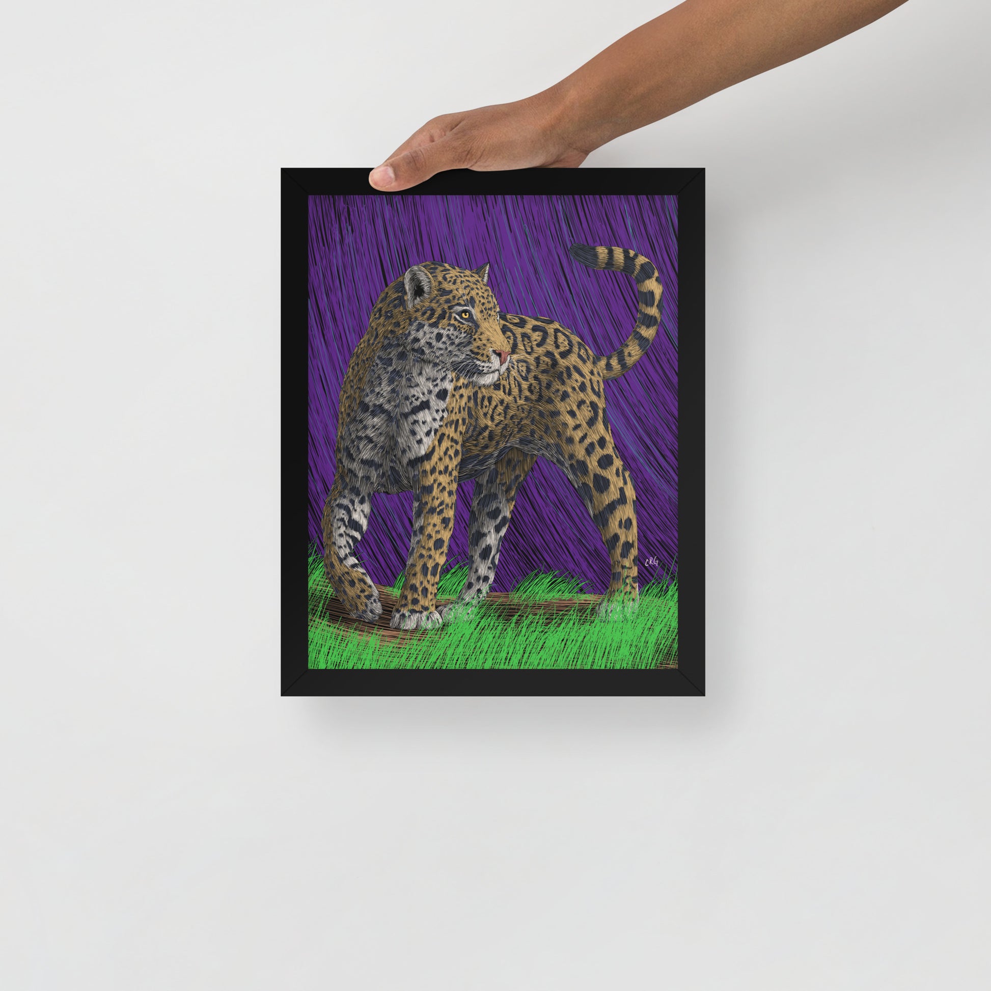 Jaguar Art Print