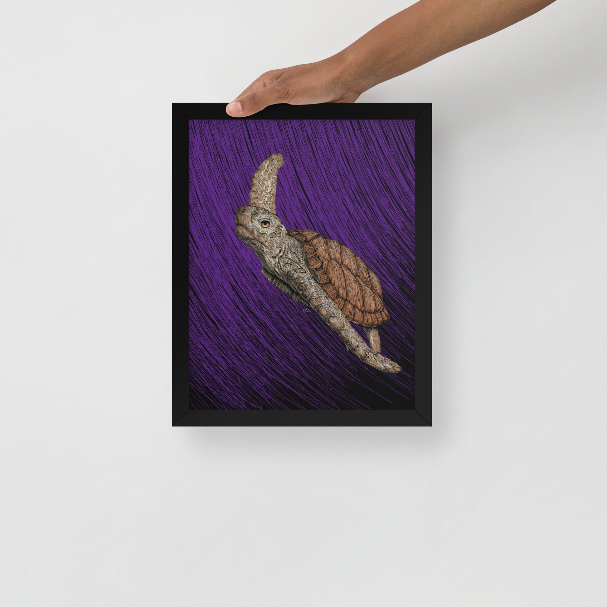Turtle Art Print