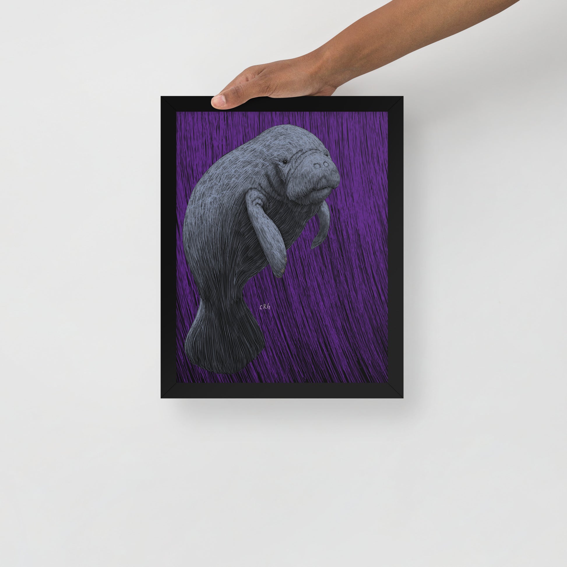 Manatee Art Print