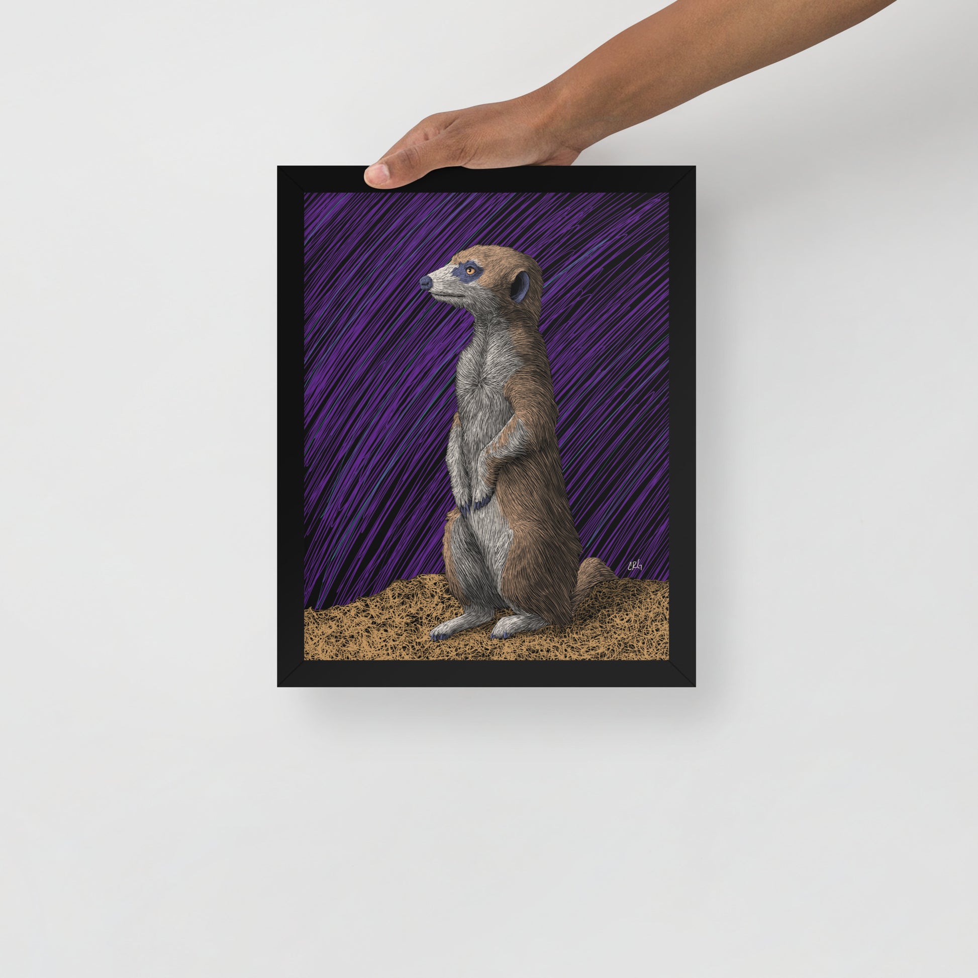 Meerkat Art Print