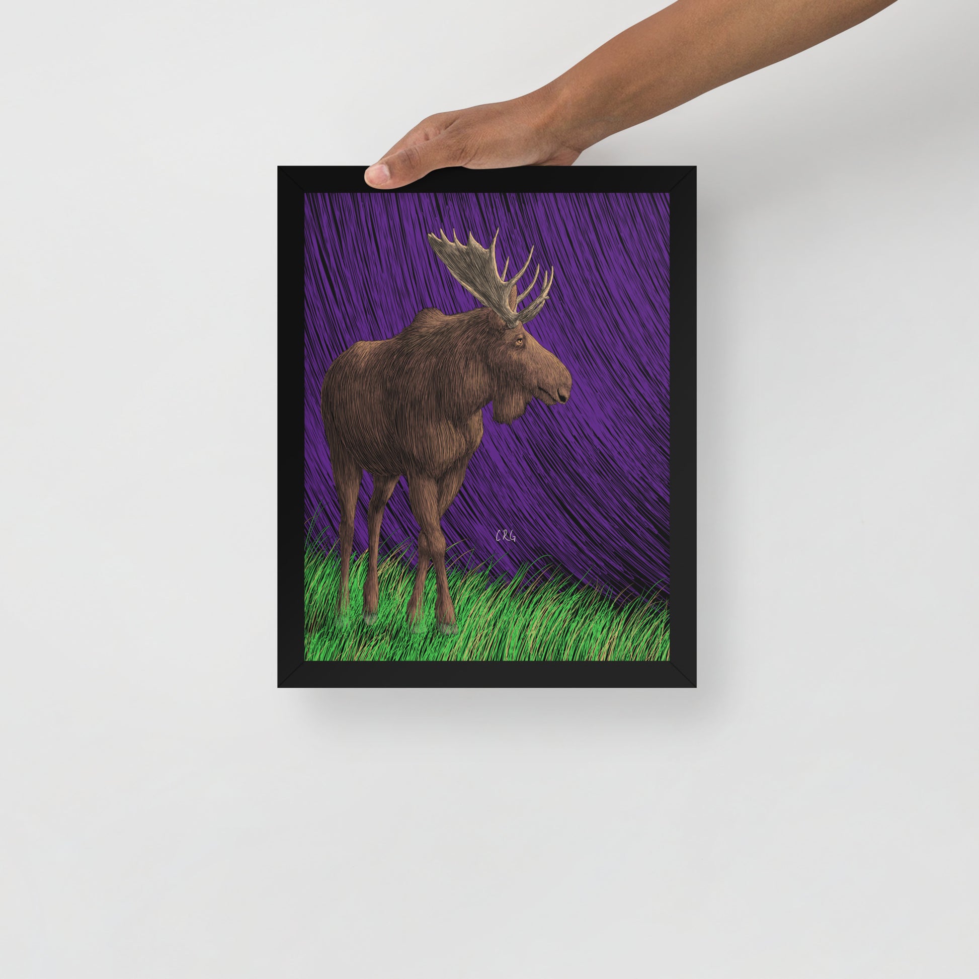 Moose Art Print