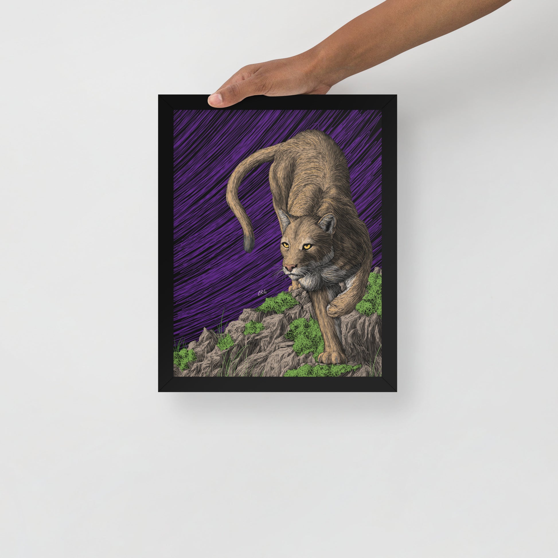 Mountain Lion Art Print